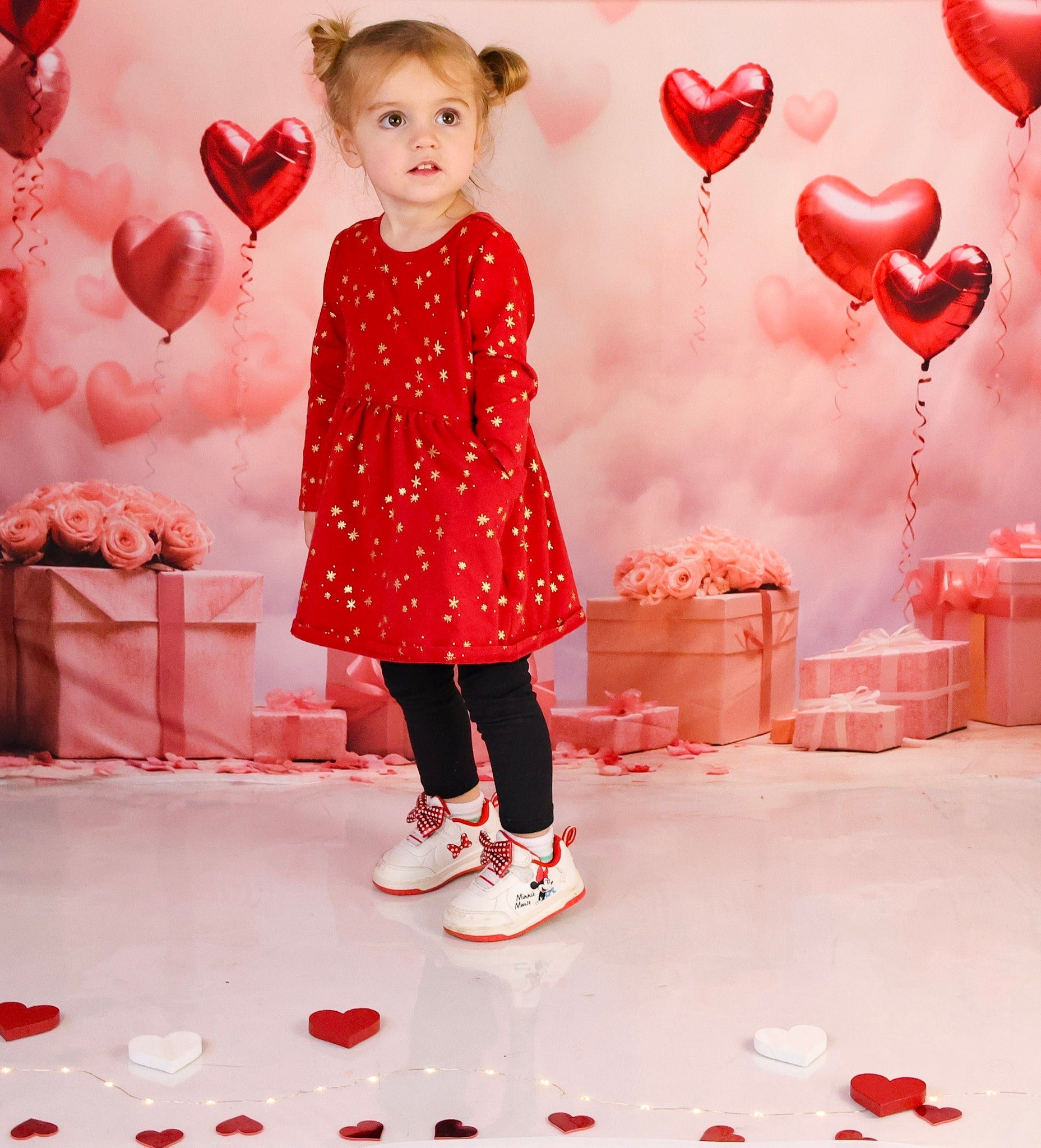 Toile de fond Saint-Valentin Ballons Cœur Romantiques Cadeaux Photographie MRR9-86