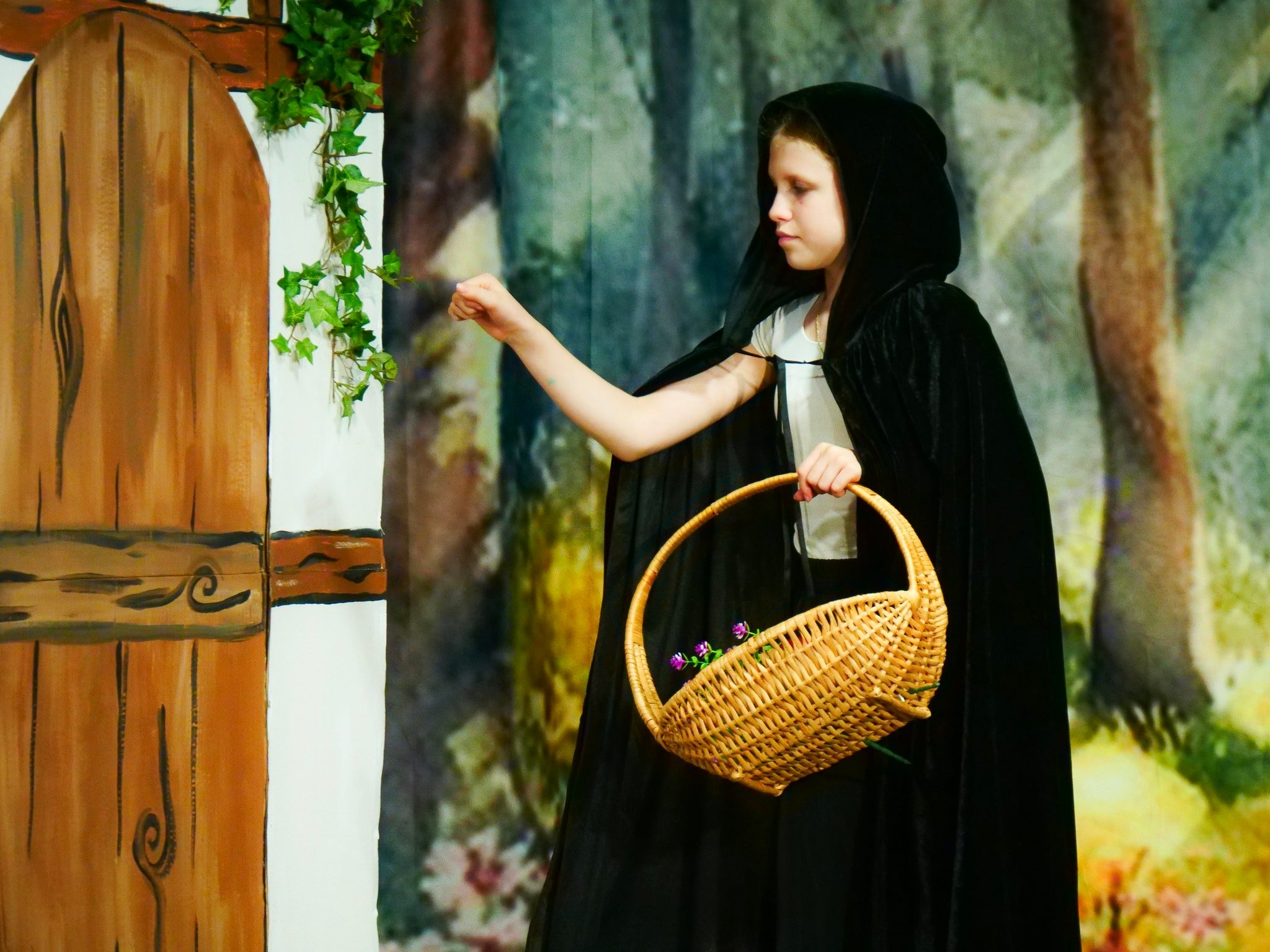 Toiles de fond de théâtre personnalisées CT1