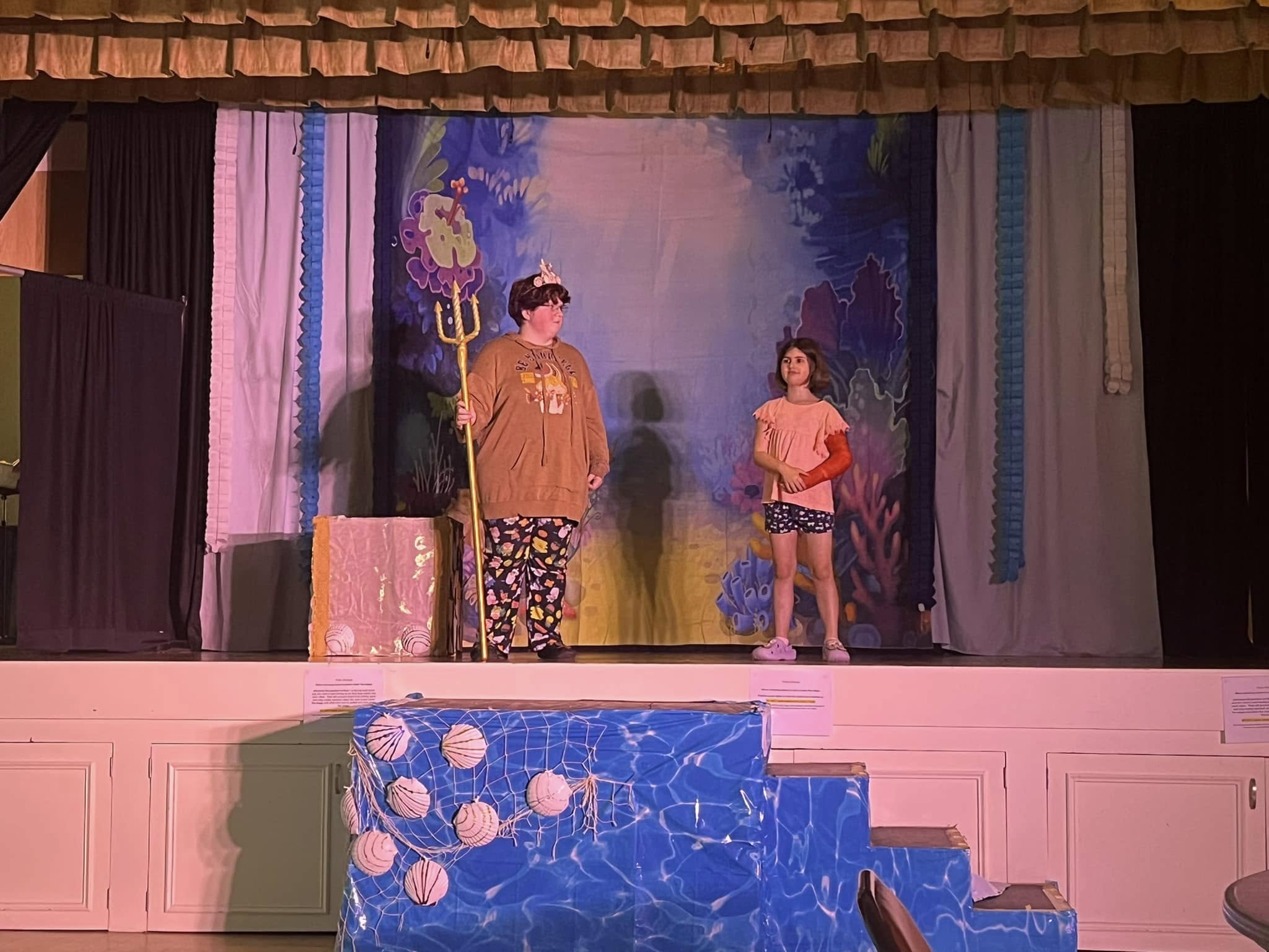 Toiles de fond de théâtre personnalisées CT1