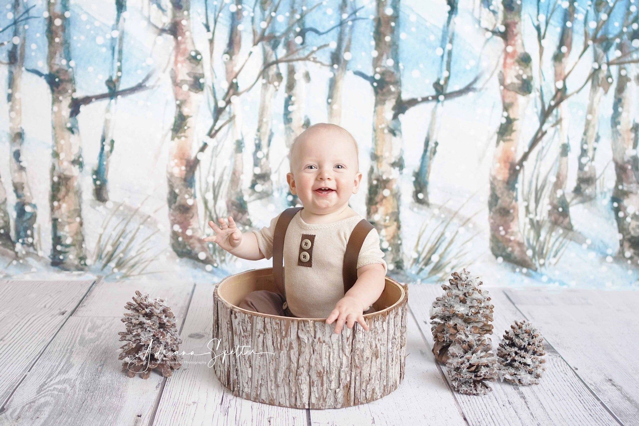 Toile de fond forêt hivernale Toile de fond forêt enchantée arbres enneigés MRR10-35