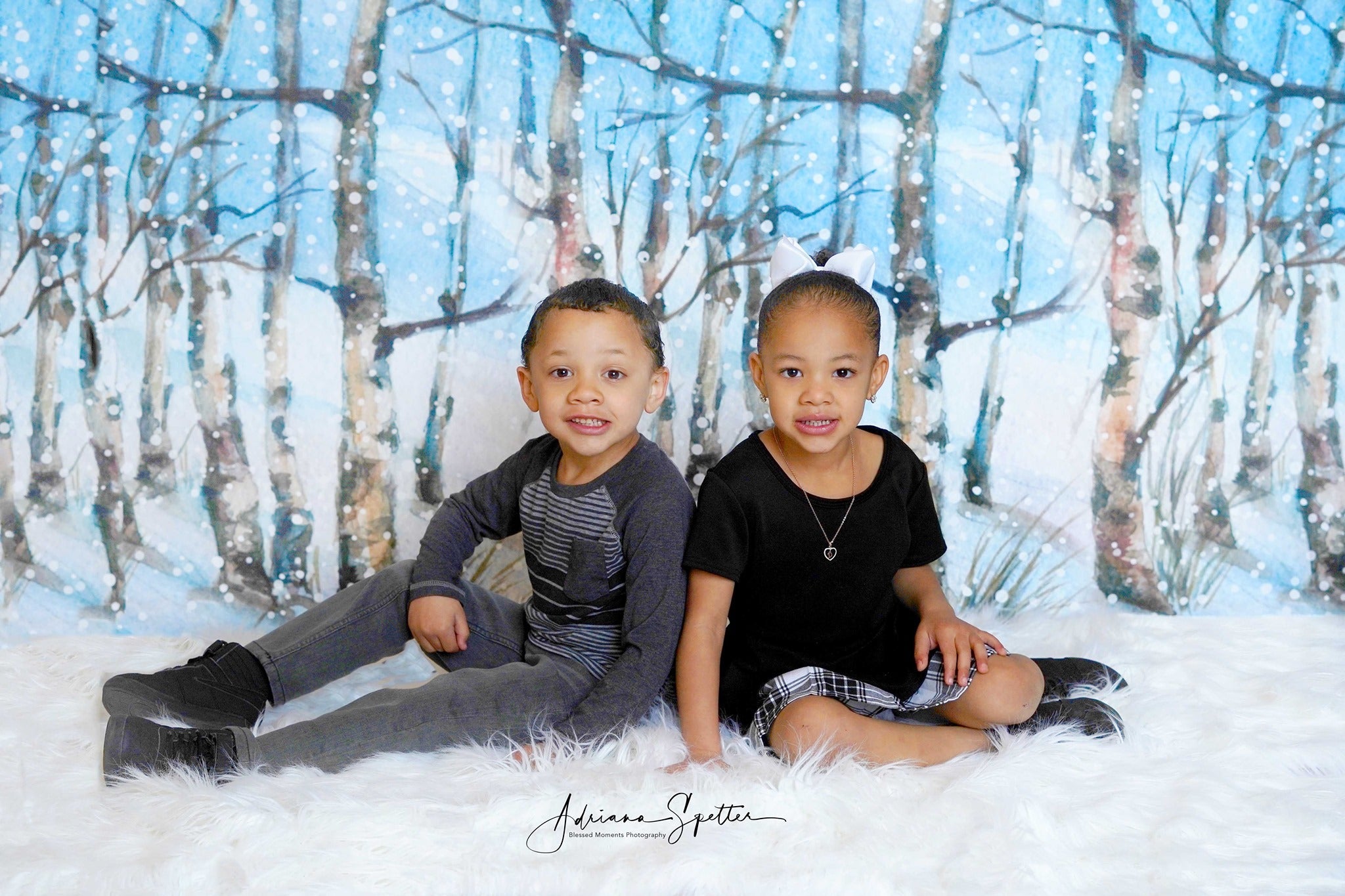 Toile de fond forêt hivernale Toile de fond forêt enchantée arbres enneigés MRR10-35