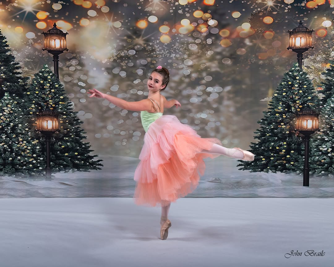 Toiles de Fond des Arbres de Noël Extérieurs Lumières Clignotant G-1440