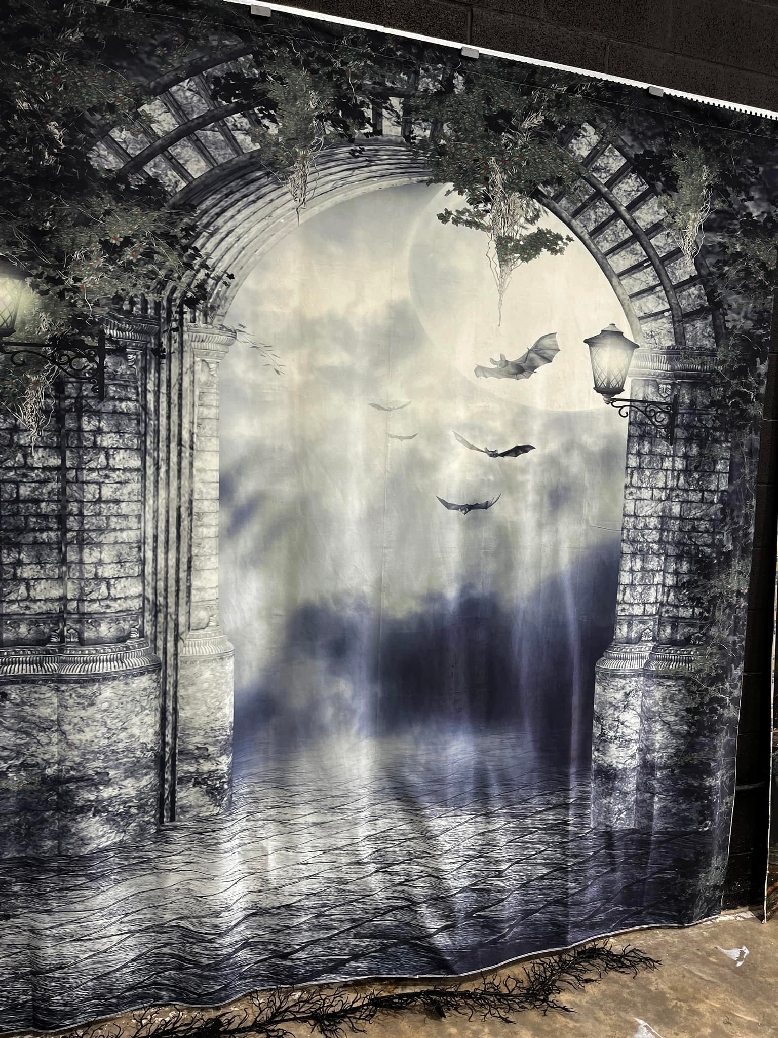 Toile de Fond Gothique Porte Chauve-souris Clair de Lune Nuit Halloween M8-02
