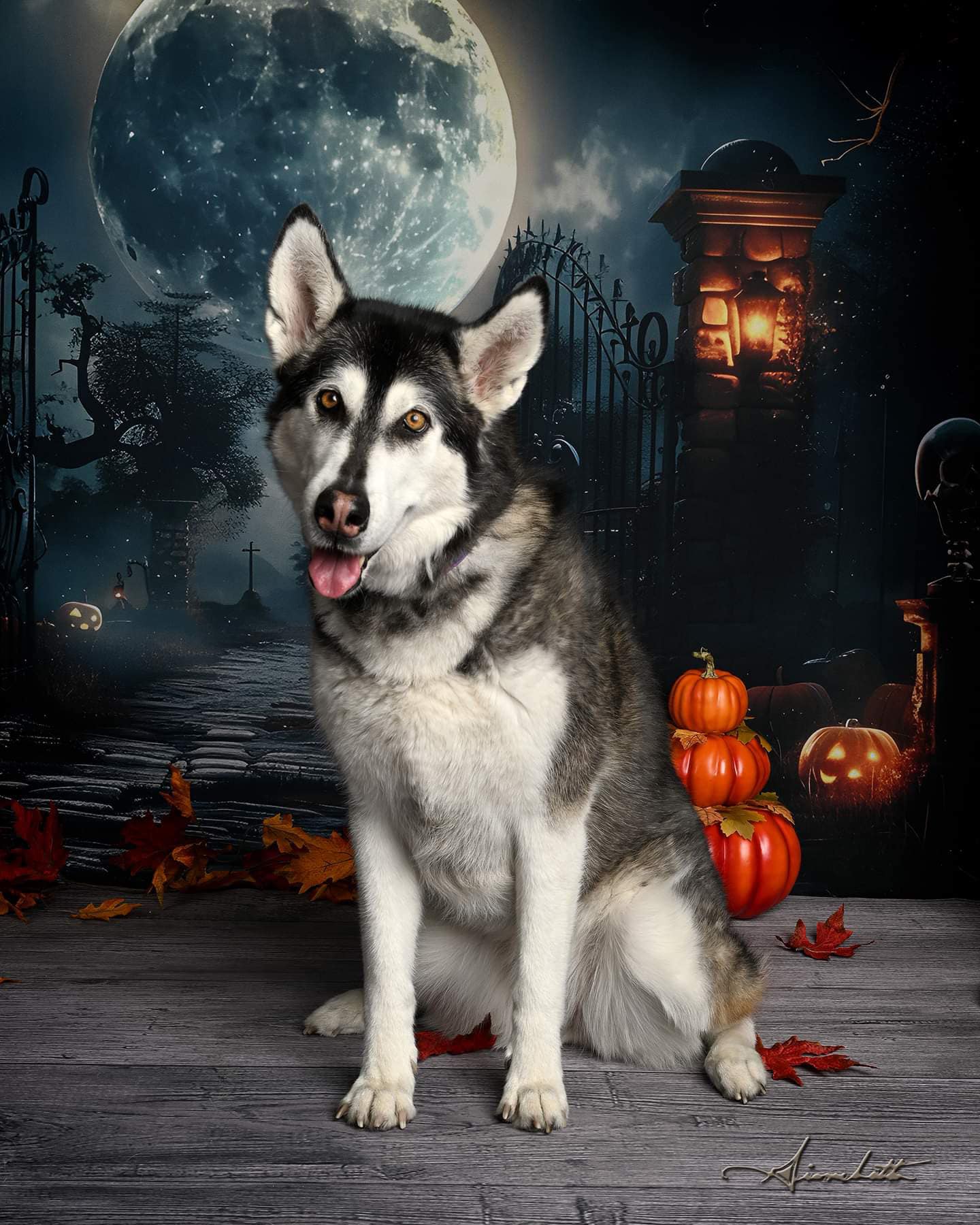 Toile de fond de portail de cimetière sombre avec squelette Halloween RR7-455
