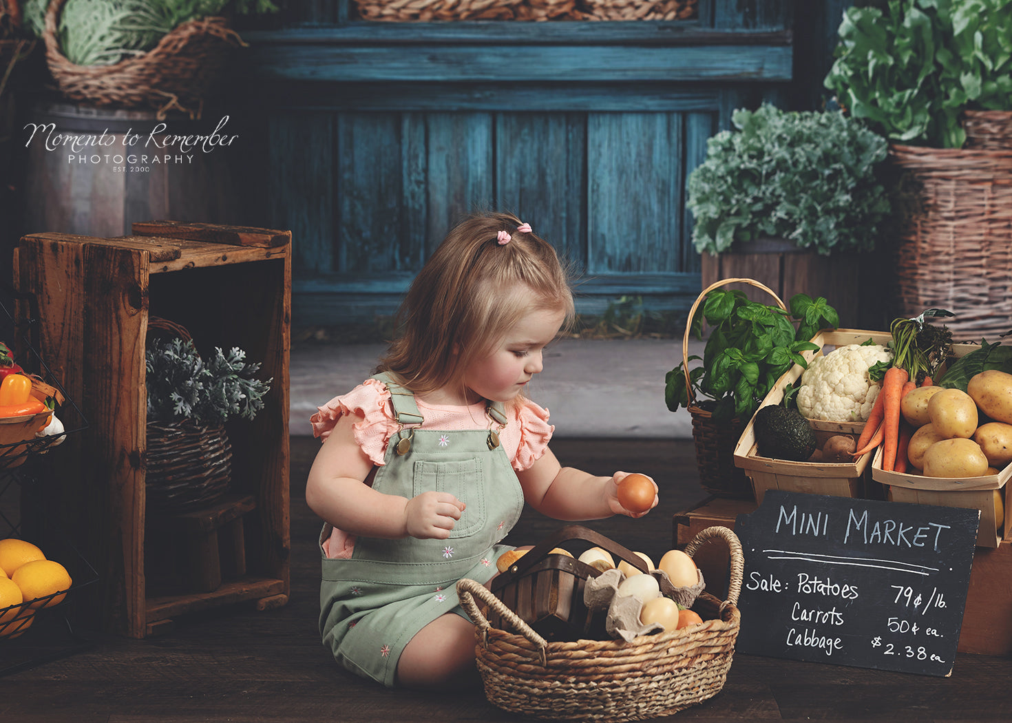 Fond Photo Printemps Fenêtre Marché Rustique LXX1-153