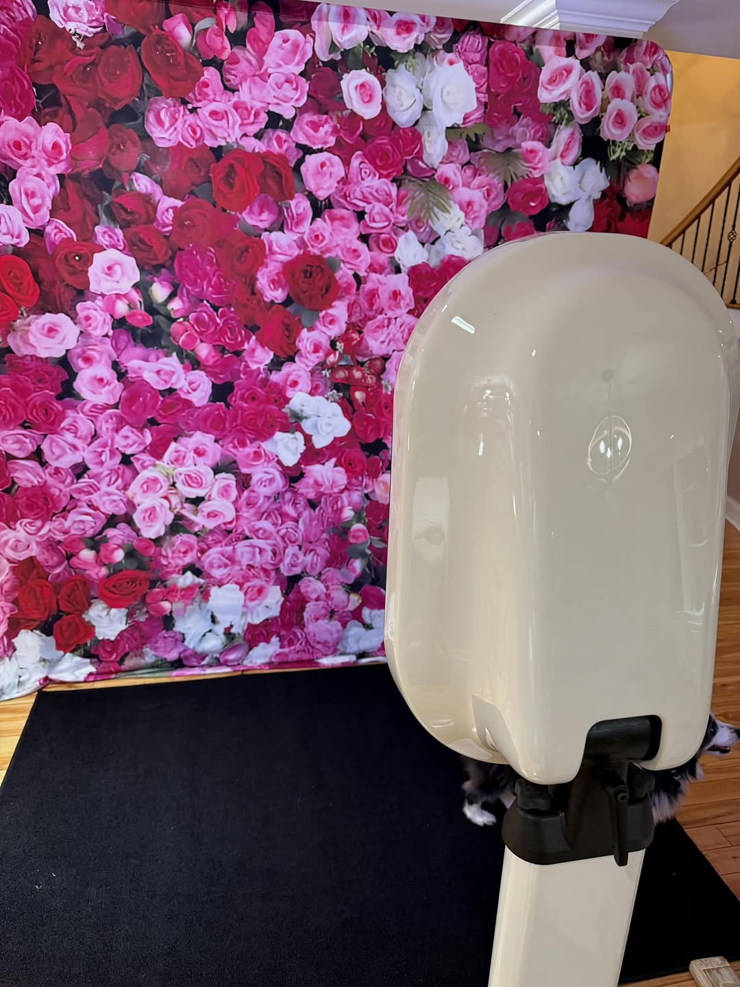 Toile de Fond de Roses Colorées pour la Fête de Mariage SH-1017