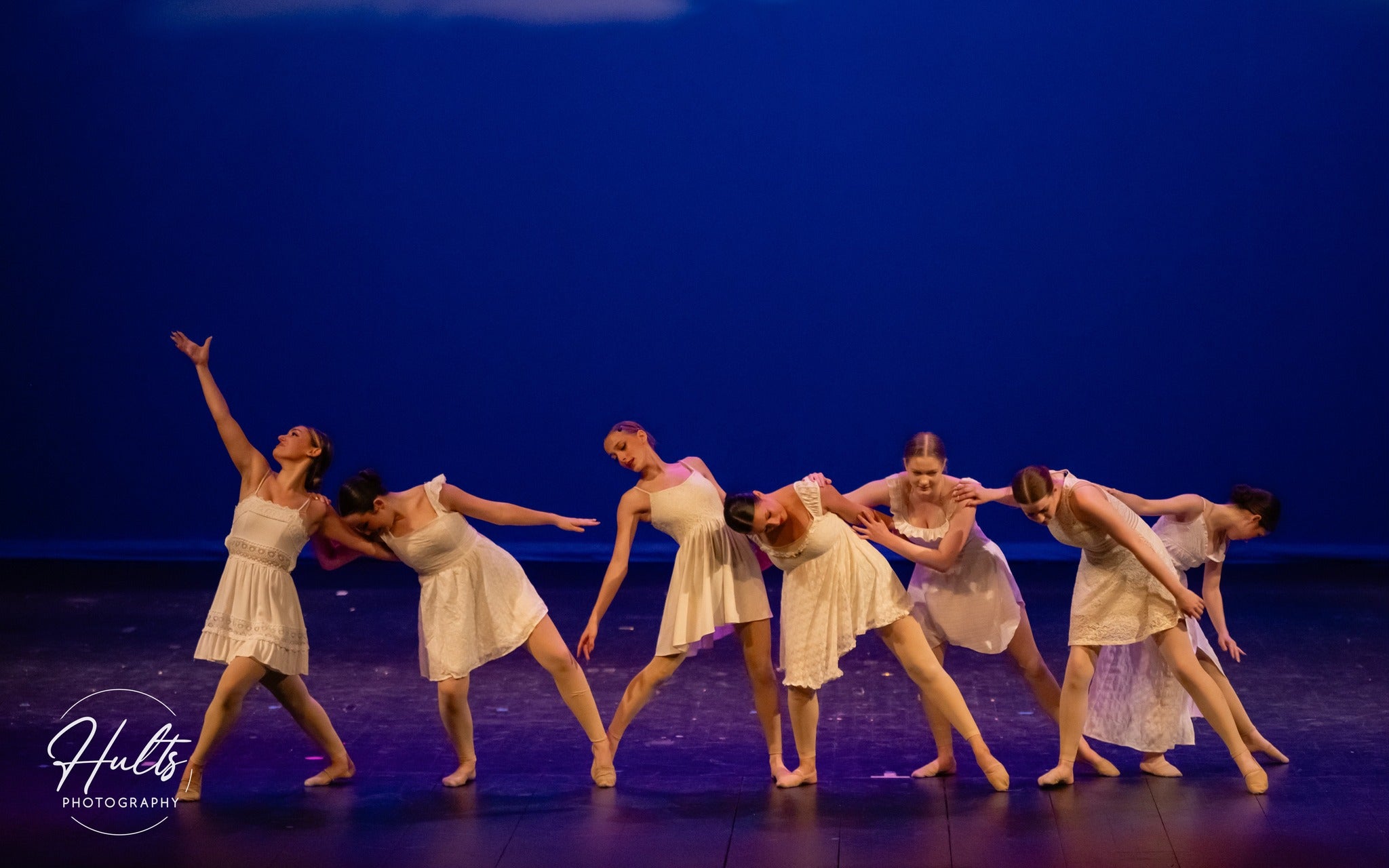 Toile de fond de photographie de Portrait de couleur unie bleu royal S10