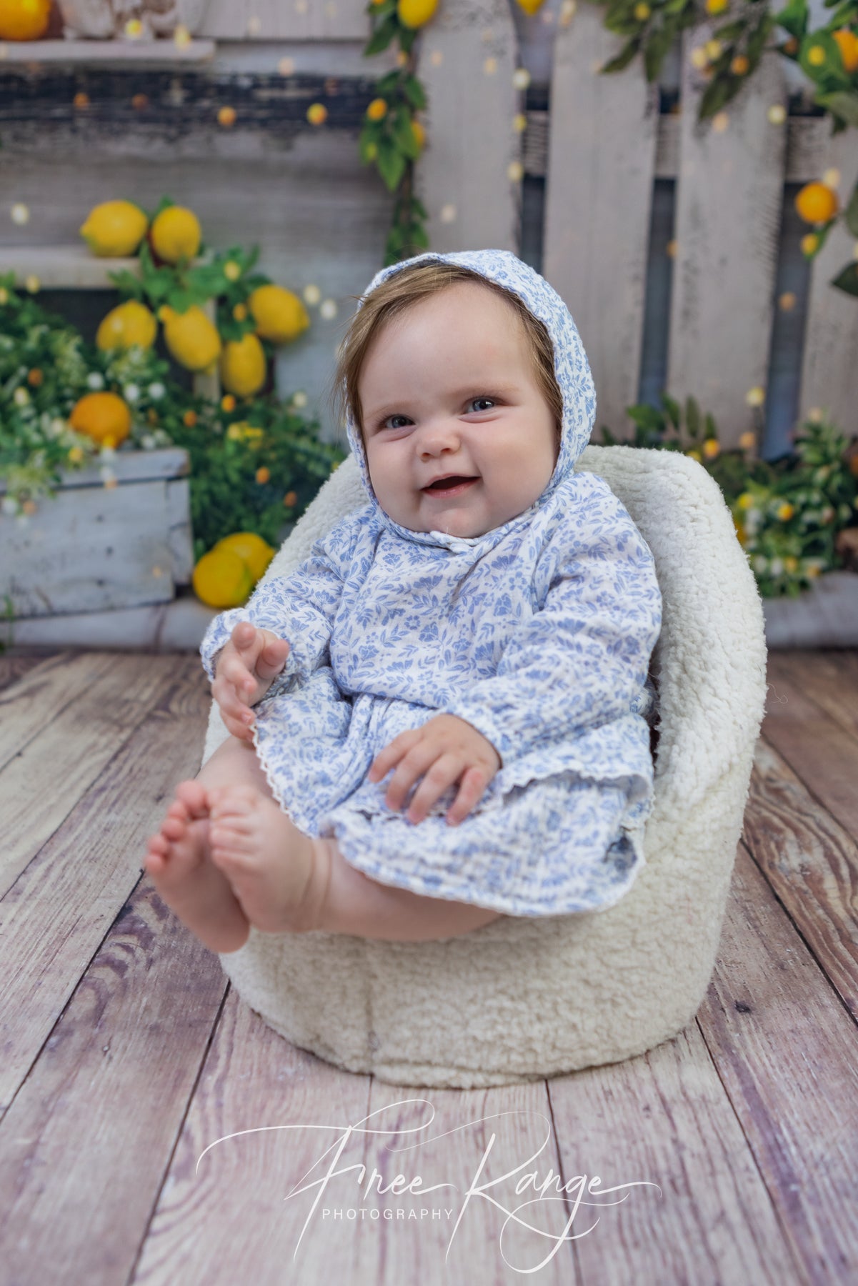 Toile de Fond de Grange Citronnier Printemps Été D1061