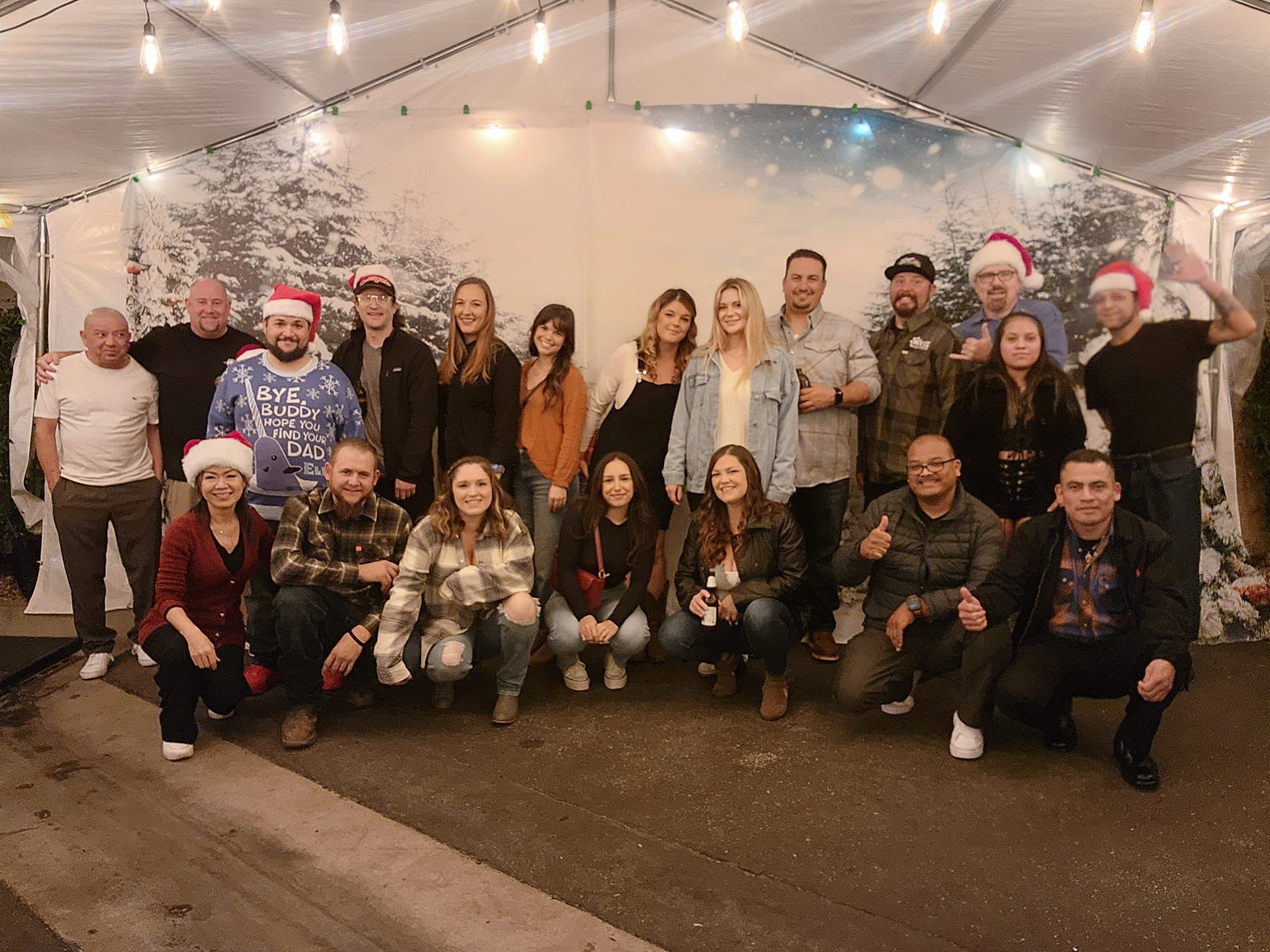 Arbre de Noël Forêt d'hiver Flocon de neige Toile de fond M11-28
