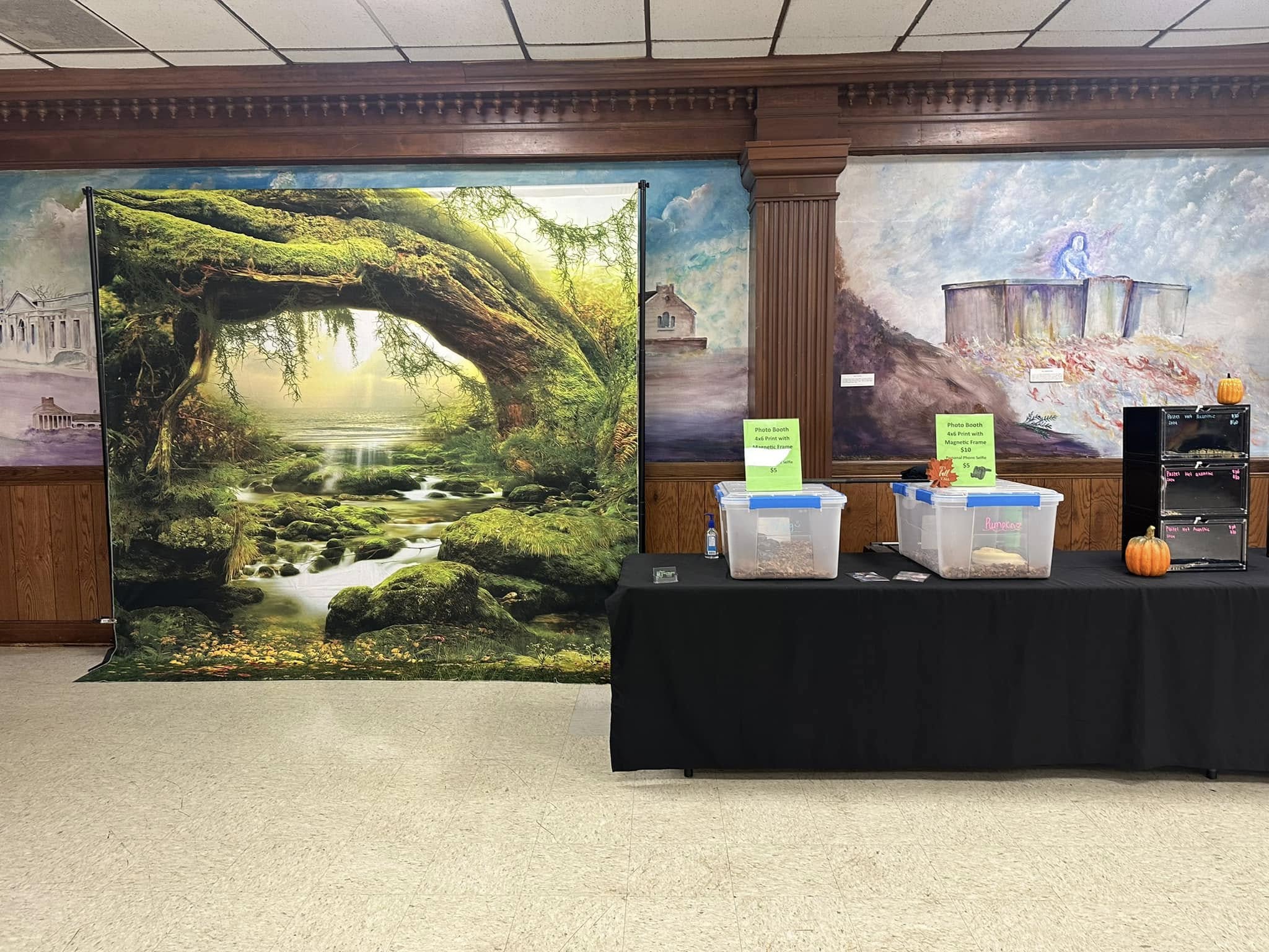 Toile de fond de photographie de la forêt de grand arbre F-165