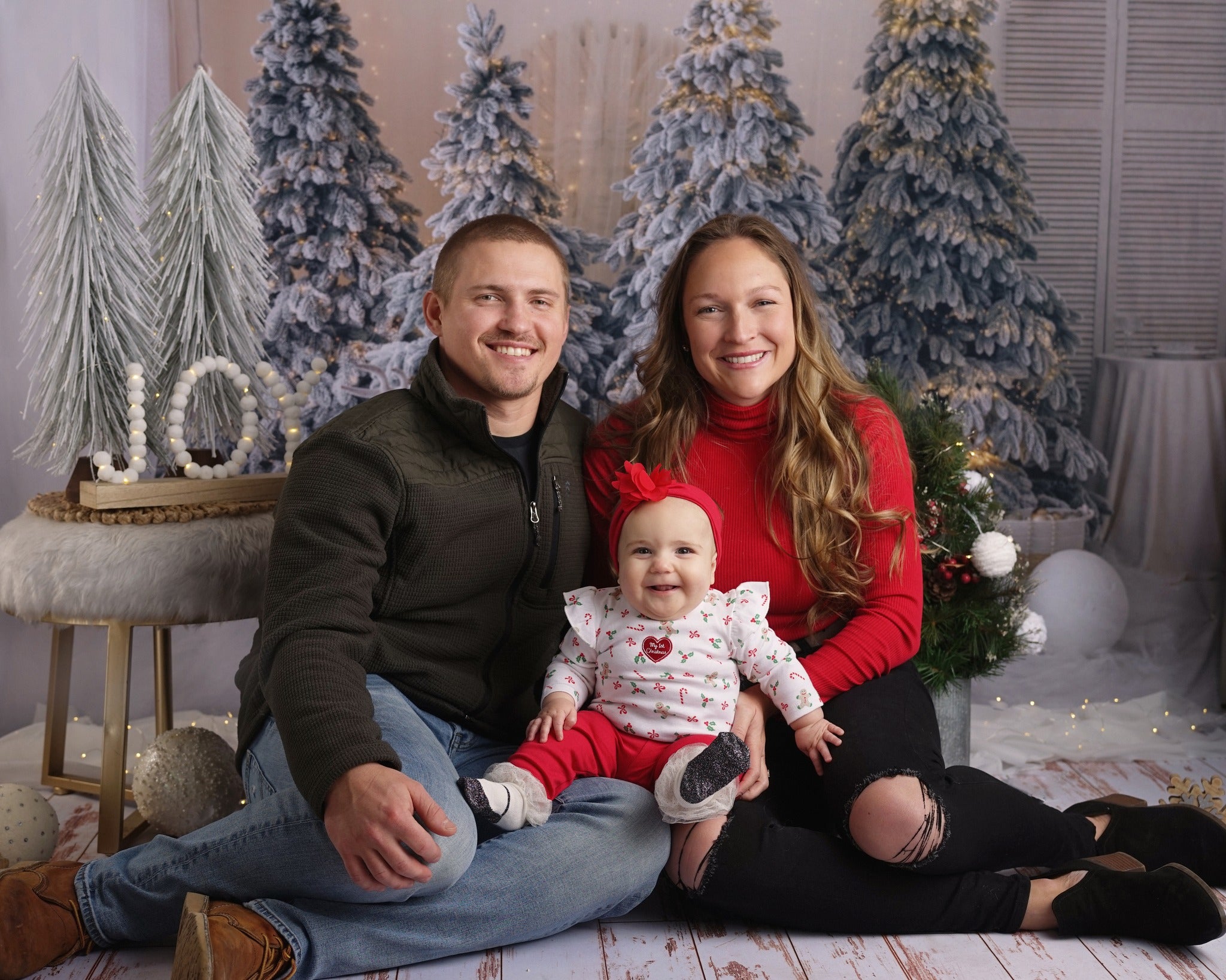 Arbre de Noël Décoration Elan Toile de fond Photographie M10-06