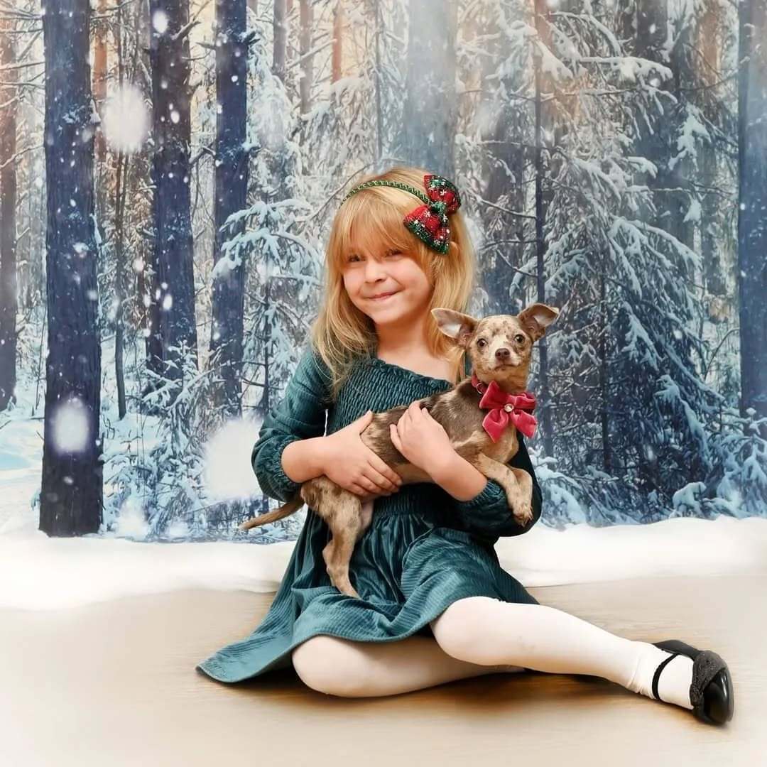 Toile de Fond de Noël de Scène de Neige de Forêt Gx-1069