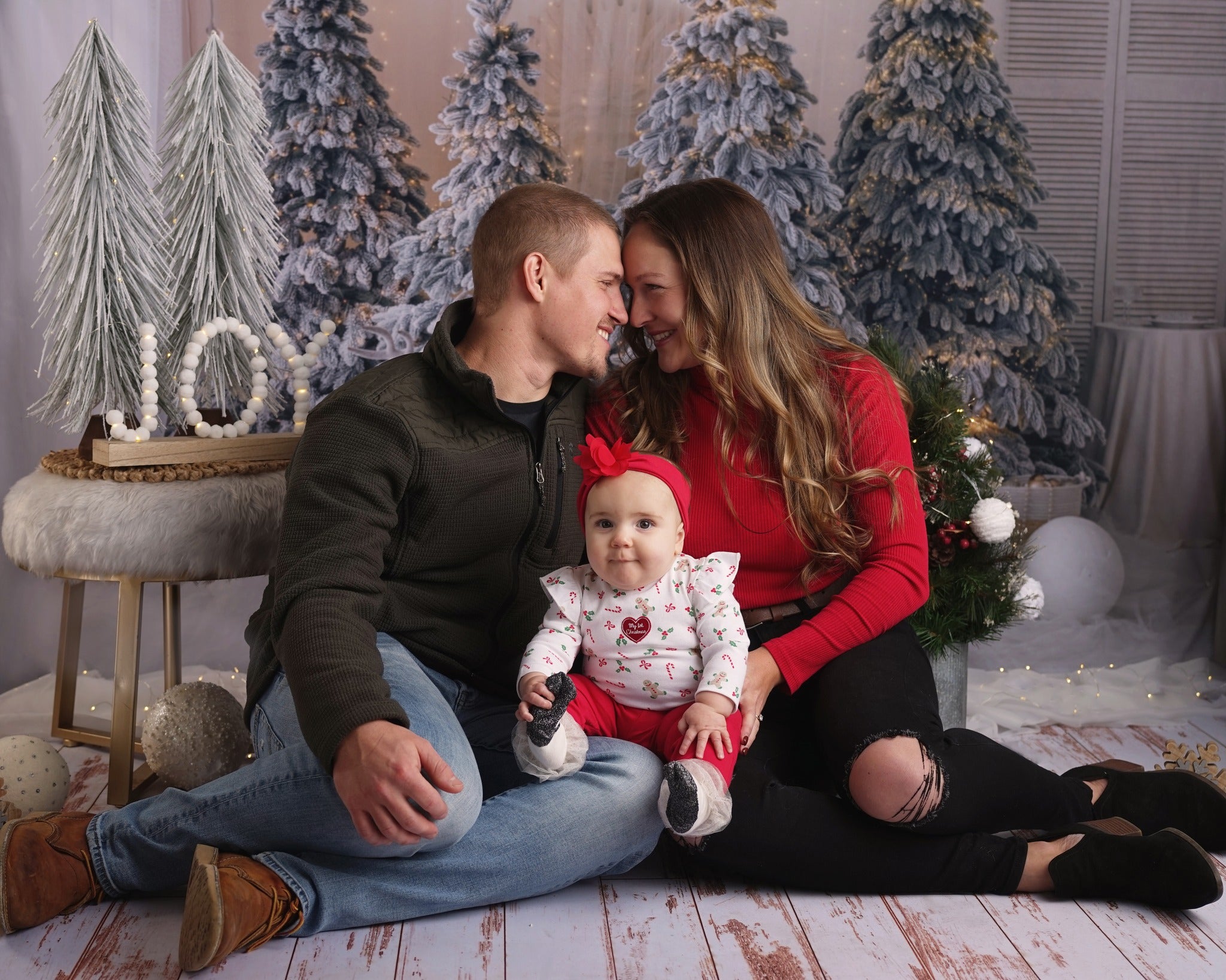 Arbre de Noël Décoration Elan Toile de fond Photographie M10-06