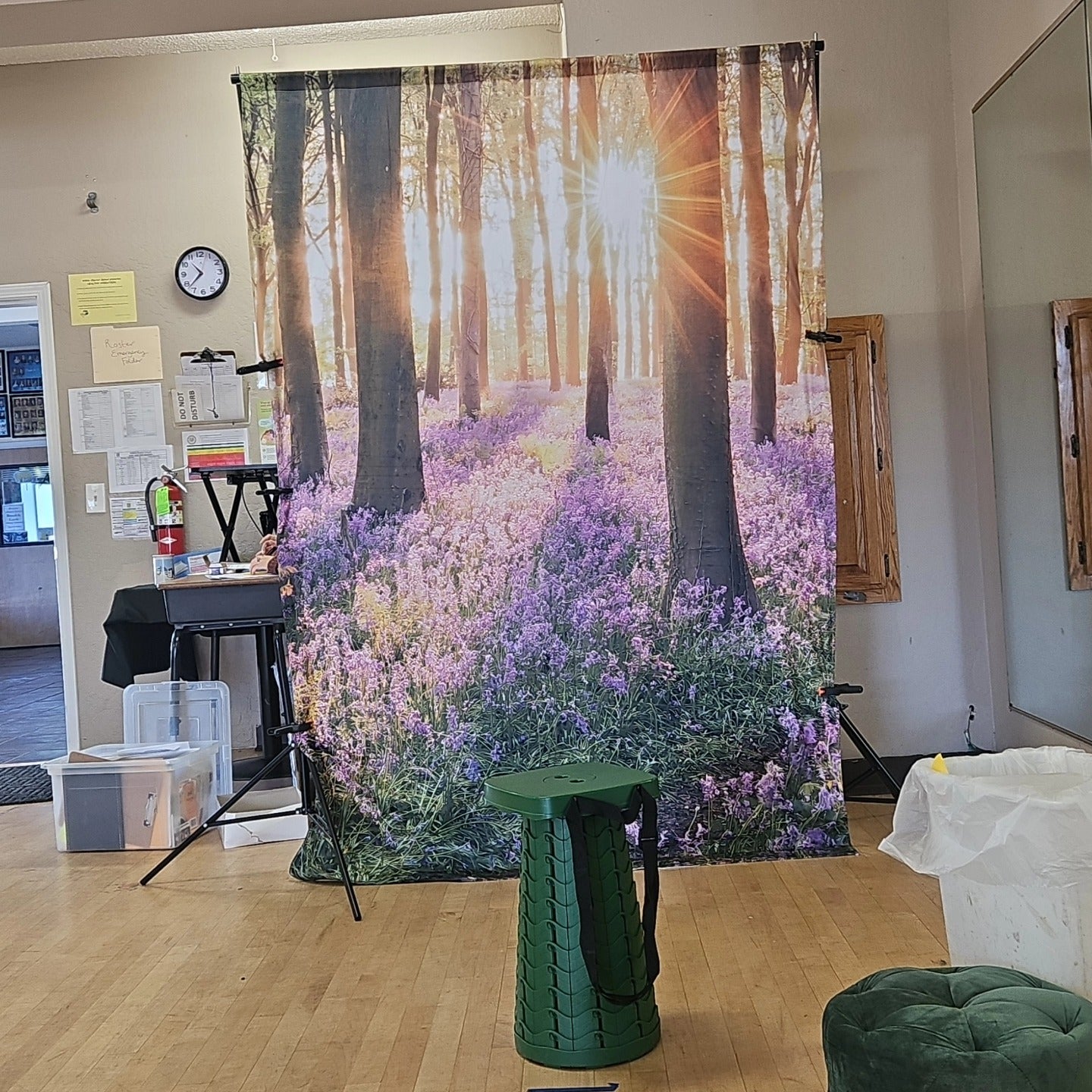 Paysage Forestier Sunshine Purple Flowers pour Studio Photo Shoot KAT-71