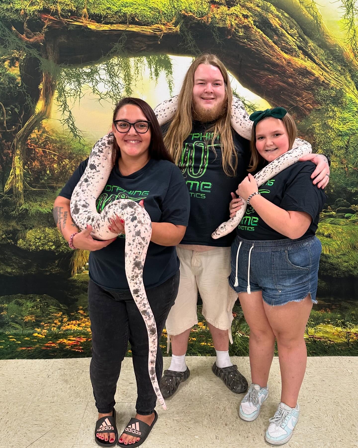 Toile de fond de photographie de la forêt de grand arbre F-165