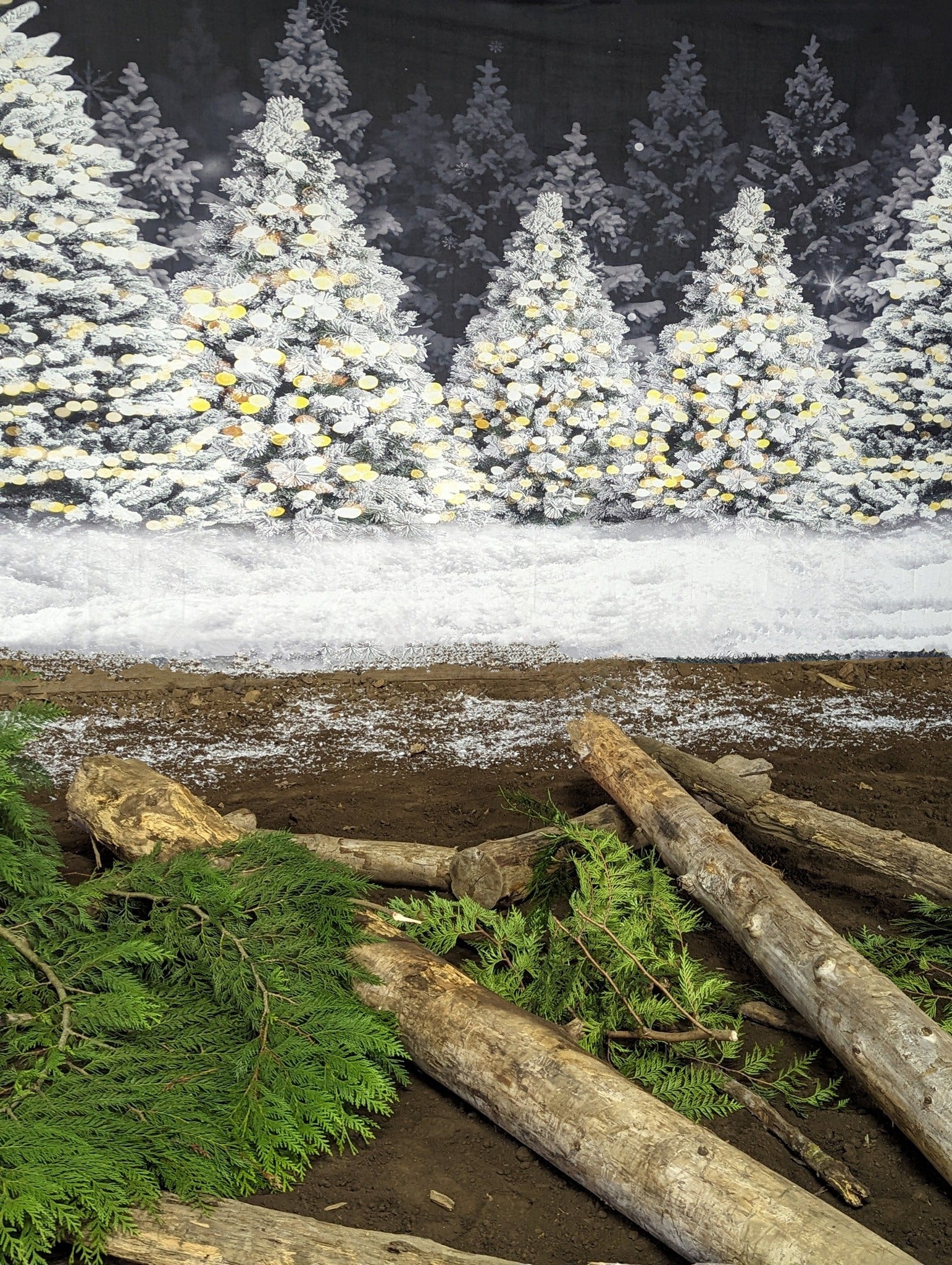 Noël nuit forêt neige photographie toile de fond D893