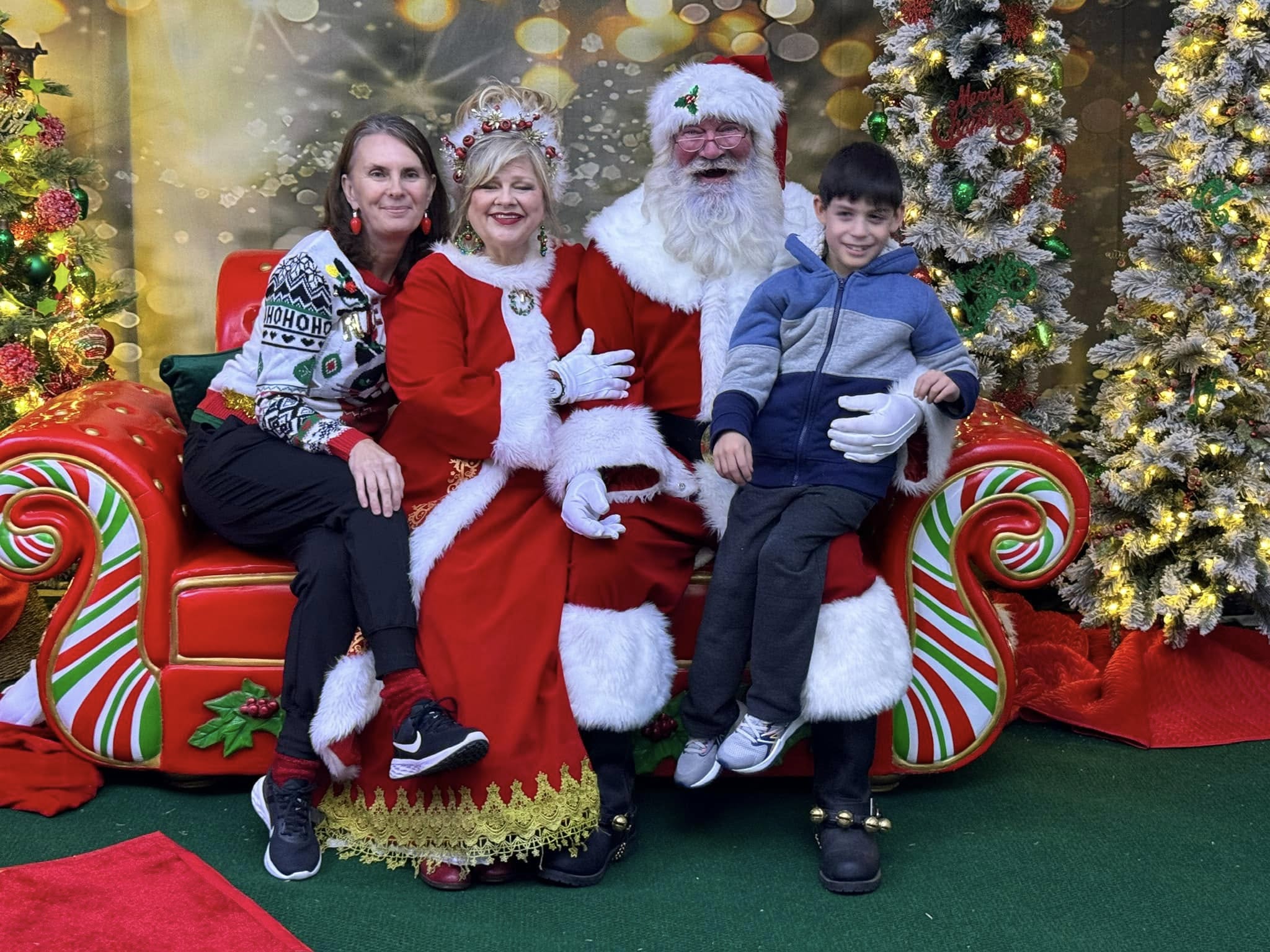 Toiles de Fond des Arbres de Noël Extérieurs Lumières Clignotant G-1440
