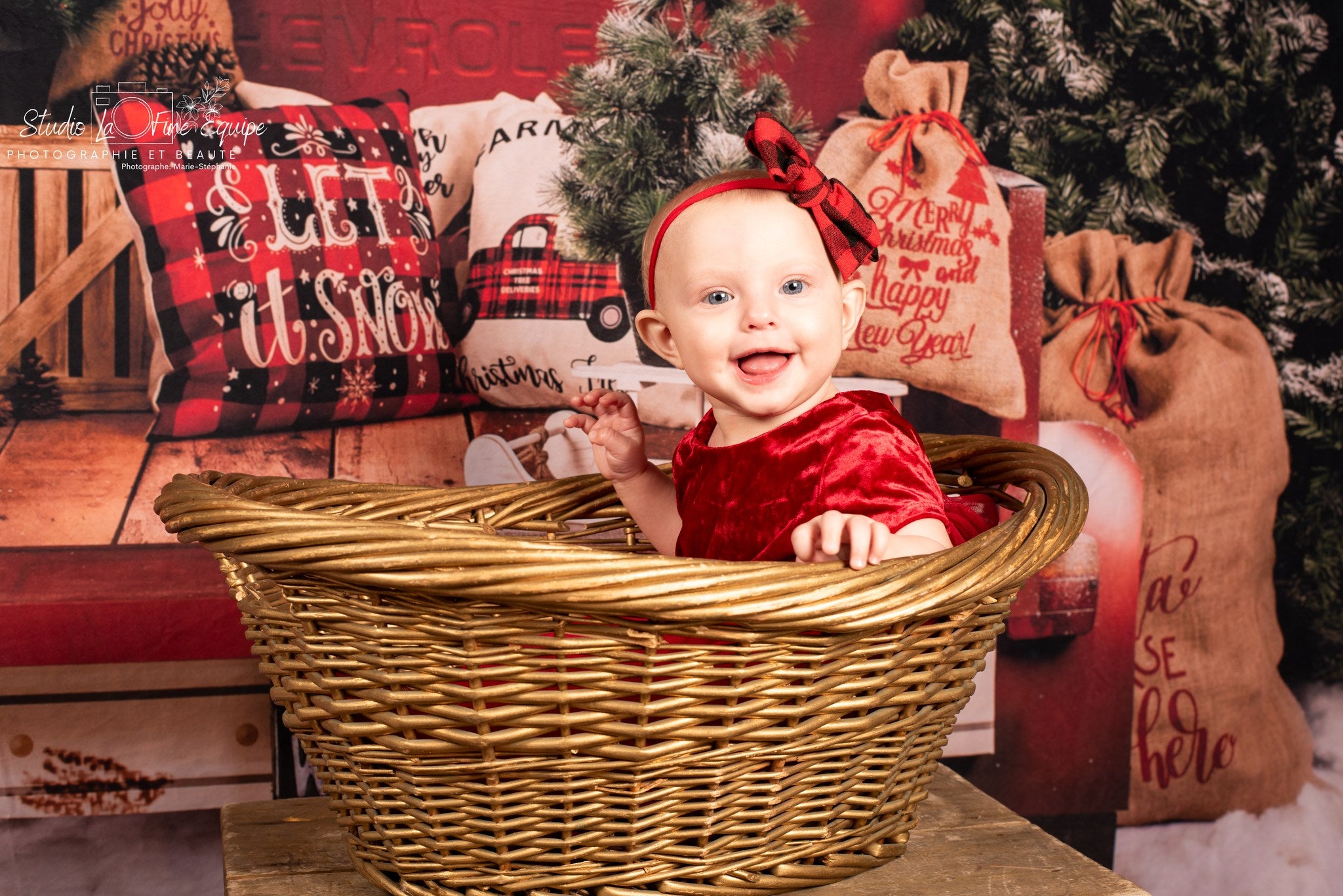 Toile de Fond de Photographie d'arbre de Noël de Voiture Rouge SH-960