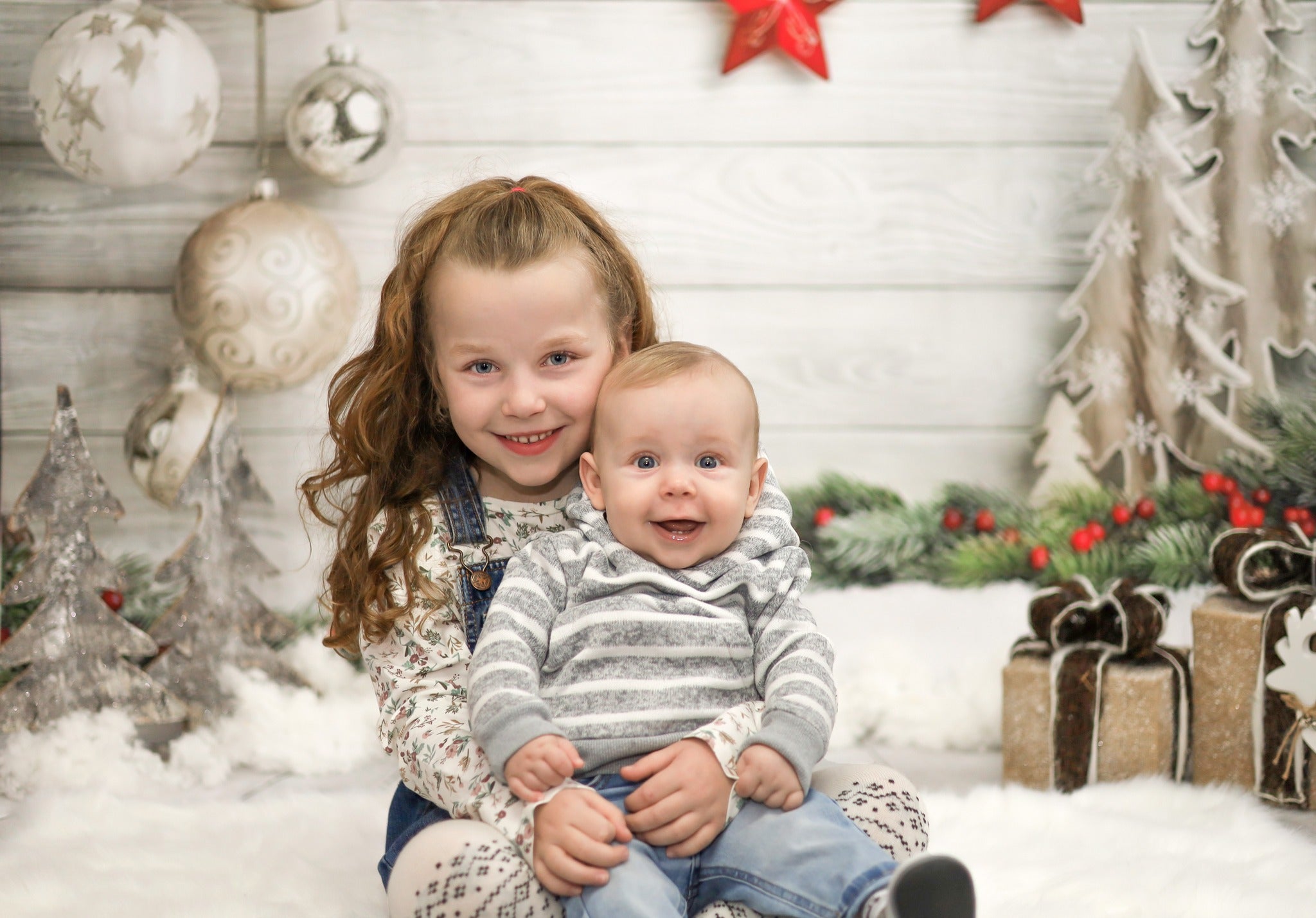 Toile de fond de Noël Photographie de plancher en bois LV-866