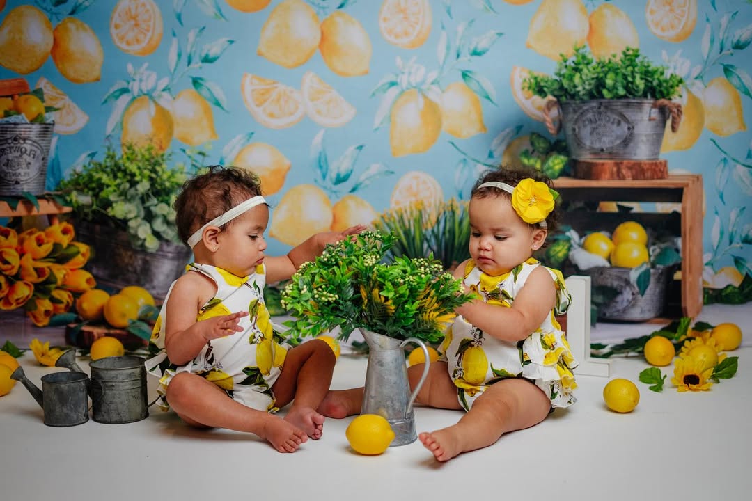 Citron Plantes Décoration Photographie Toile de Fond M-34