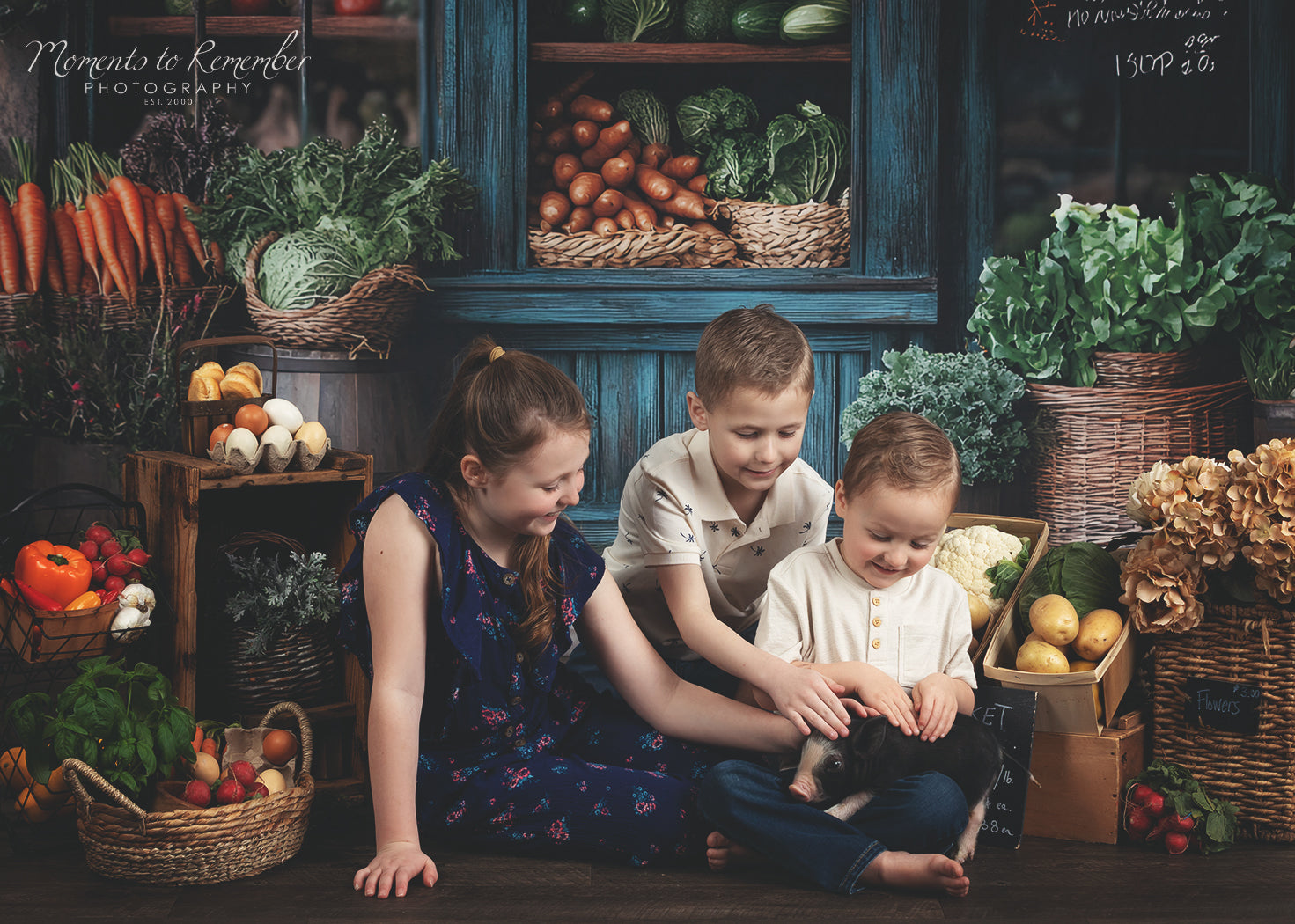 Fond Photo Printemps Fenêtre Marché Rustique LXX1-153