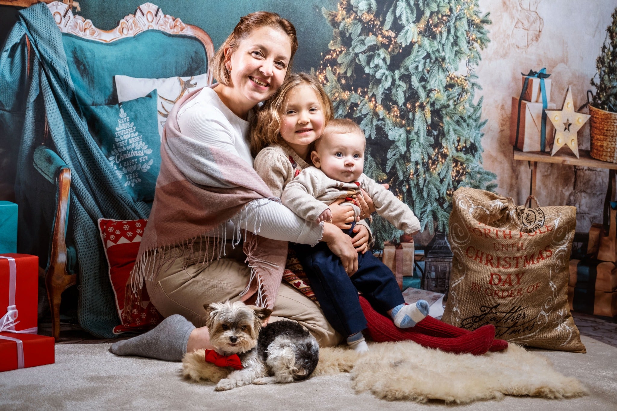 Toile de Fond Émeraude Salle décorée Arbre de Noël Gx-1098