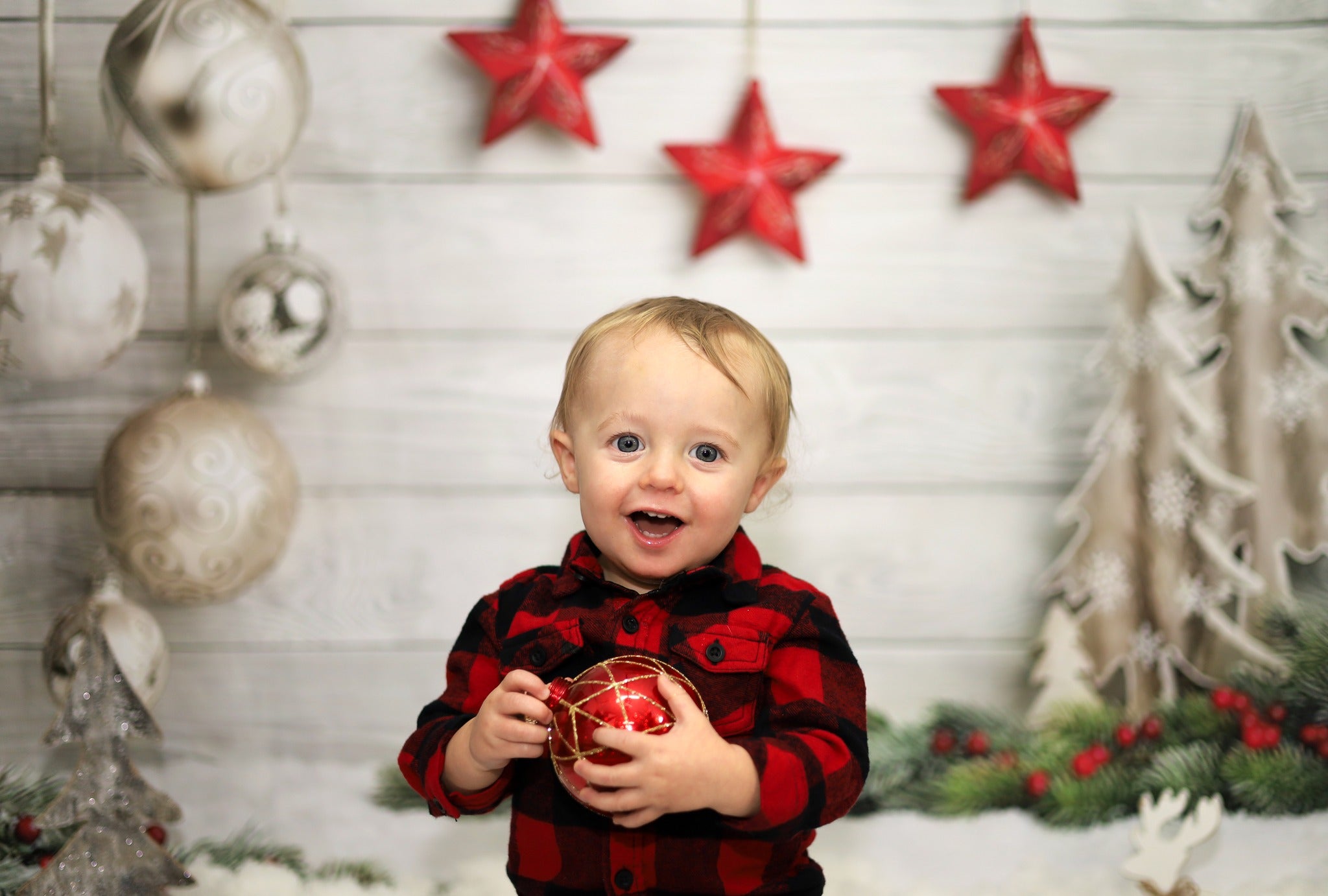 Toile de fond de Noël Photographie de plancher en bois LV-866