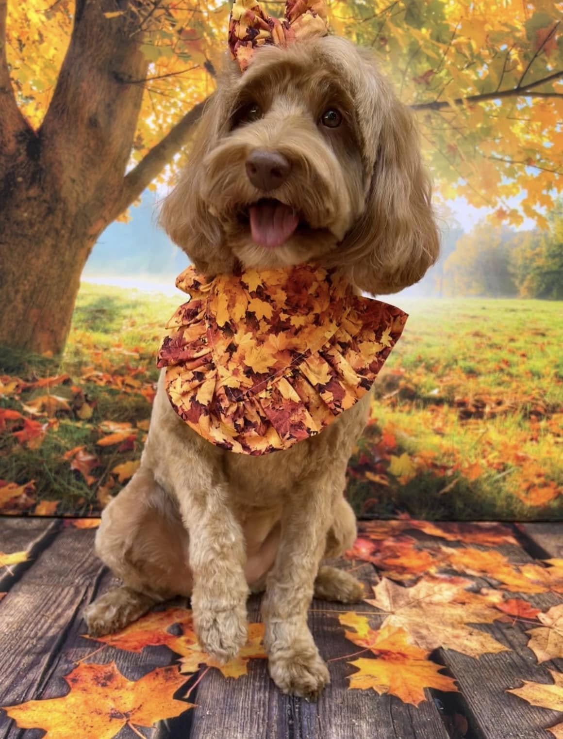 Feuilles d'érable sur Fond d'automne en Bois M6-98