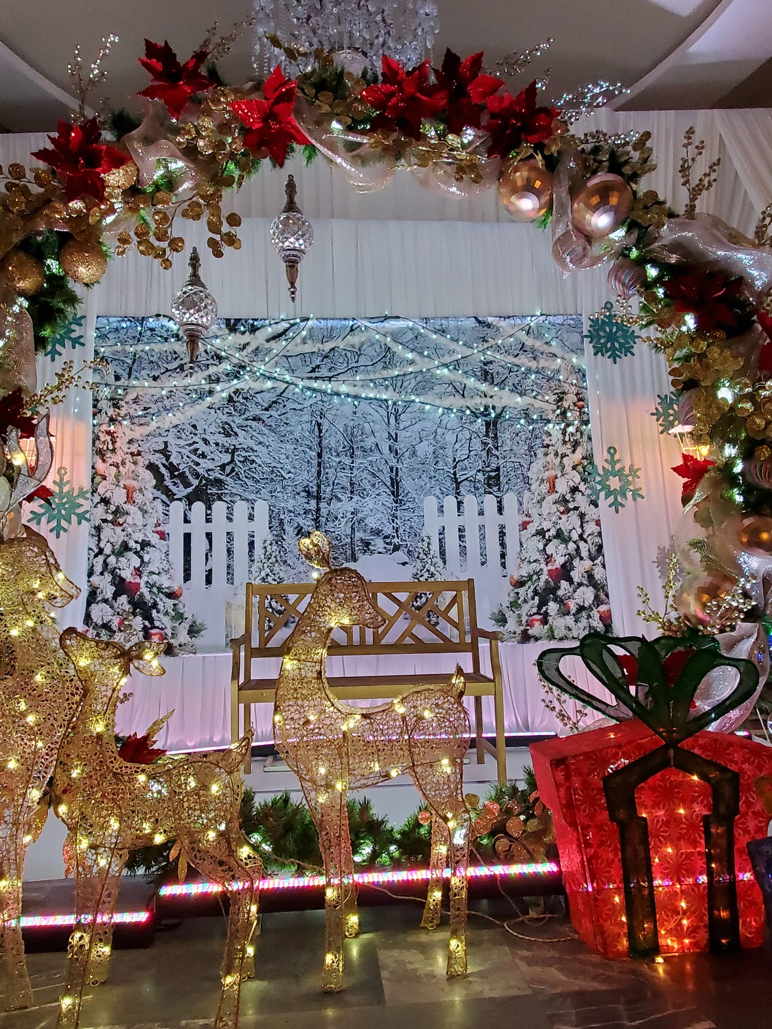 Cordes lumineuses de la forêt gelée Toile de fond de Noël D990