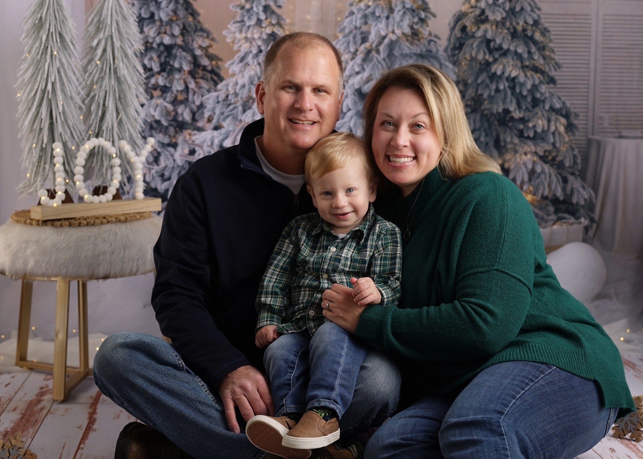 Arbre de Noël Décoration Elan Toile de fond Photographie M10-06