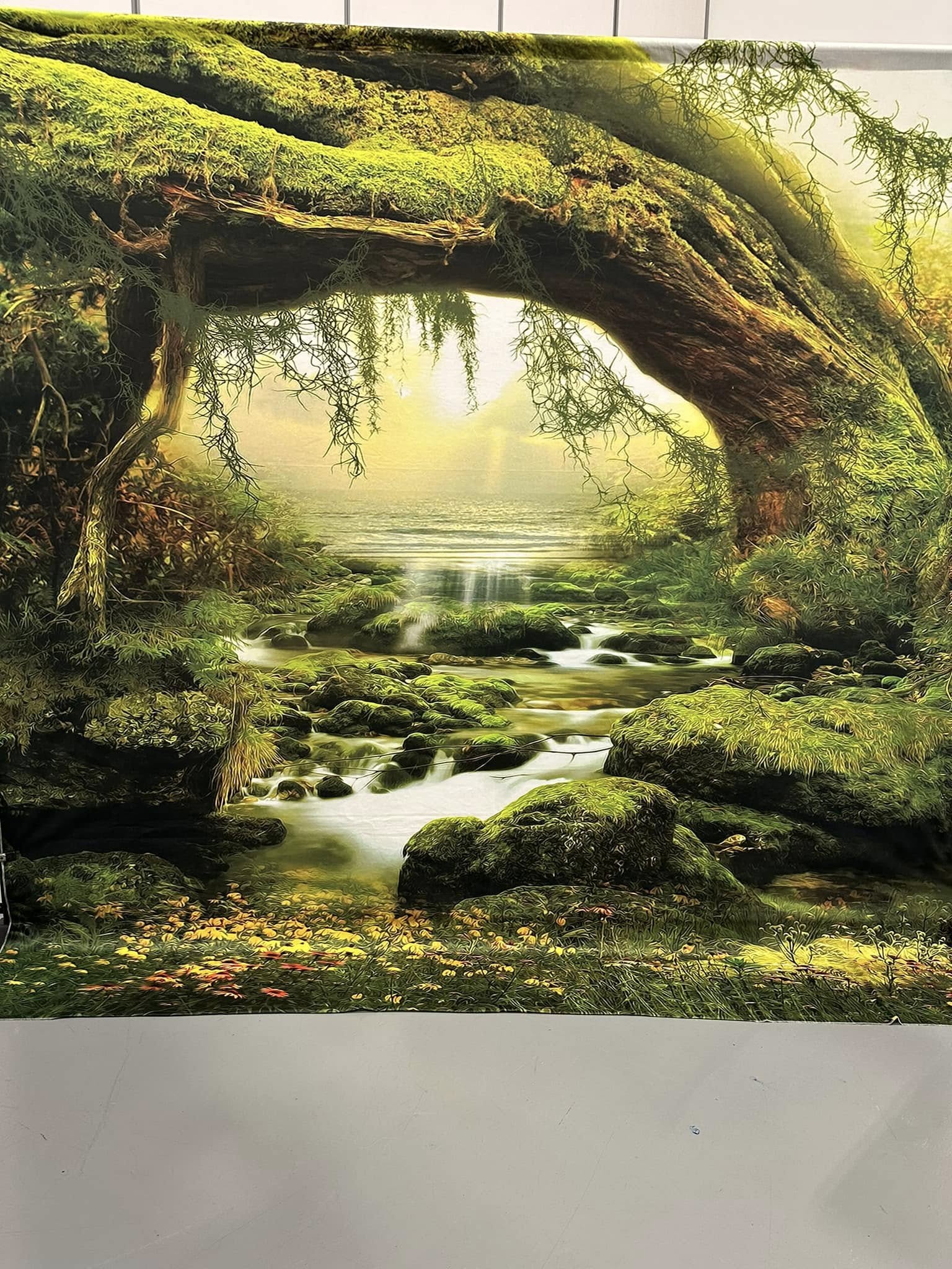 Toile de fond de photographie de la forêt de grand arbre F-165