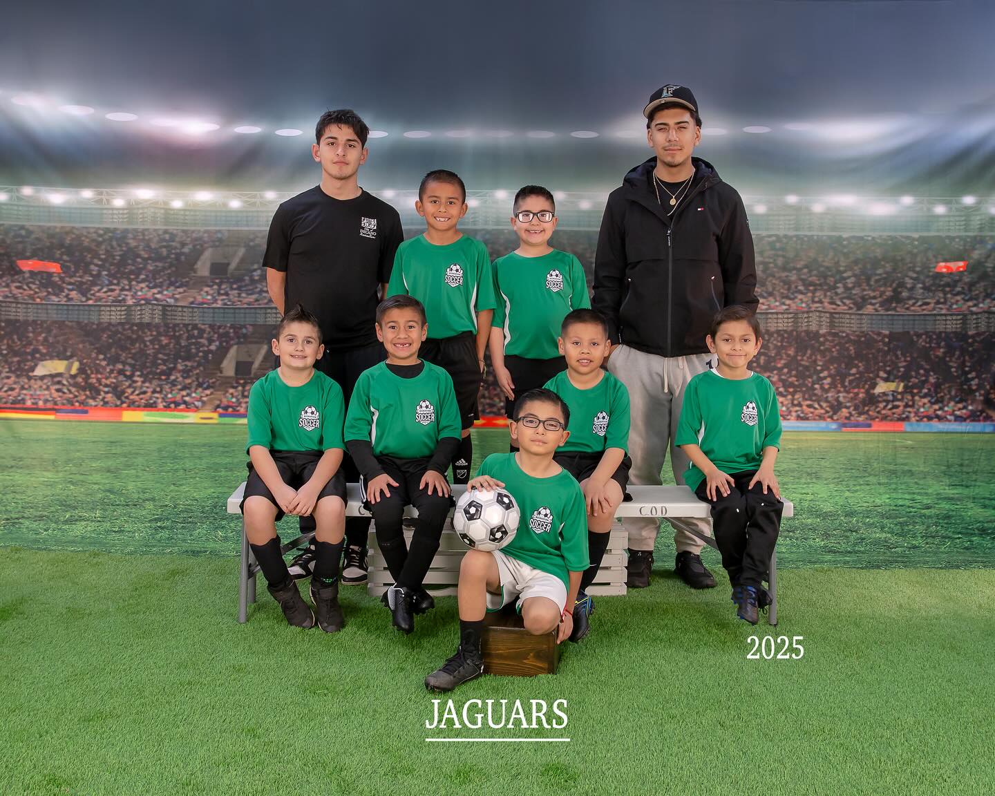 Toile de fond de photo de Terrain de football G-264