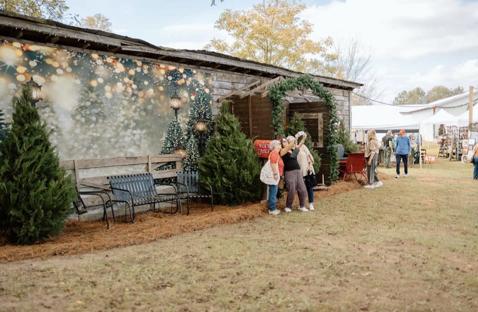 Toiles de Fond des Arbres de Noël Extérieurs Lumières Clignotant G-1440