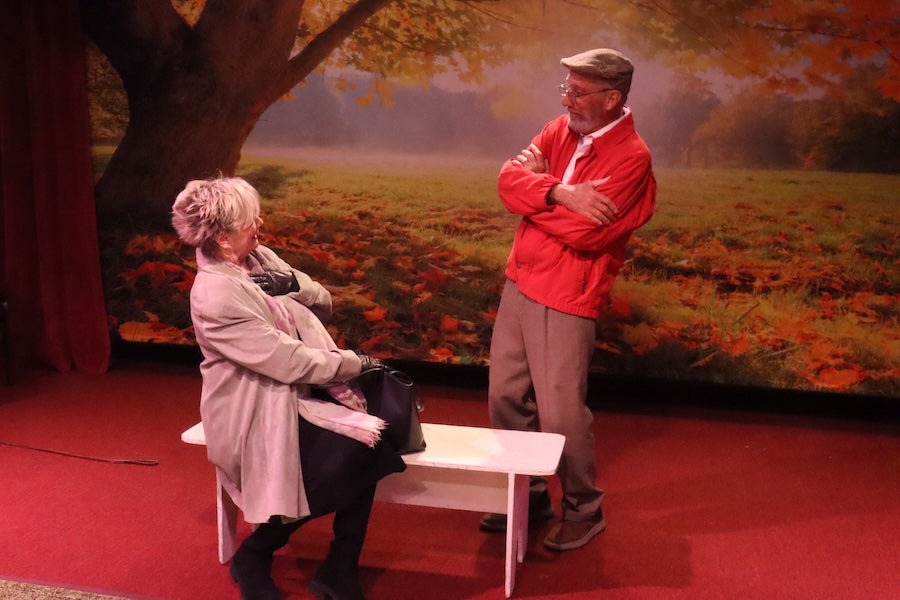 Toile de Fond Érable Automne Paysage Photographie M6-102