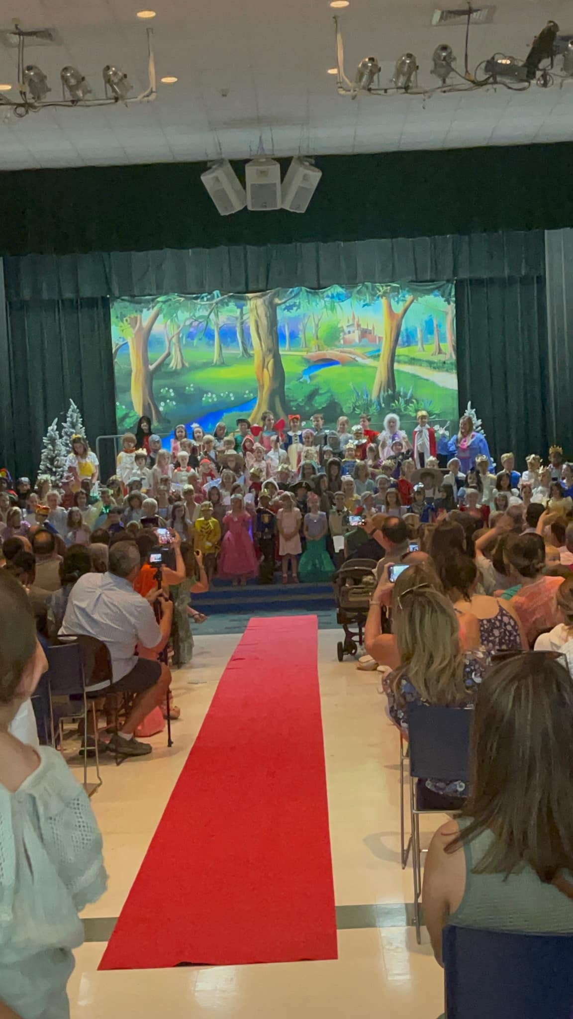 Toile de fond de Dessin animé forêt château Photo Studio G-583