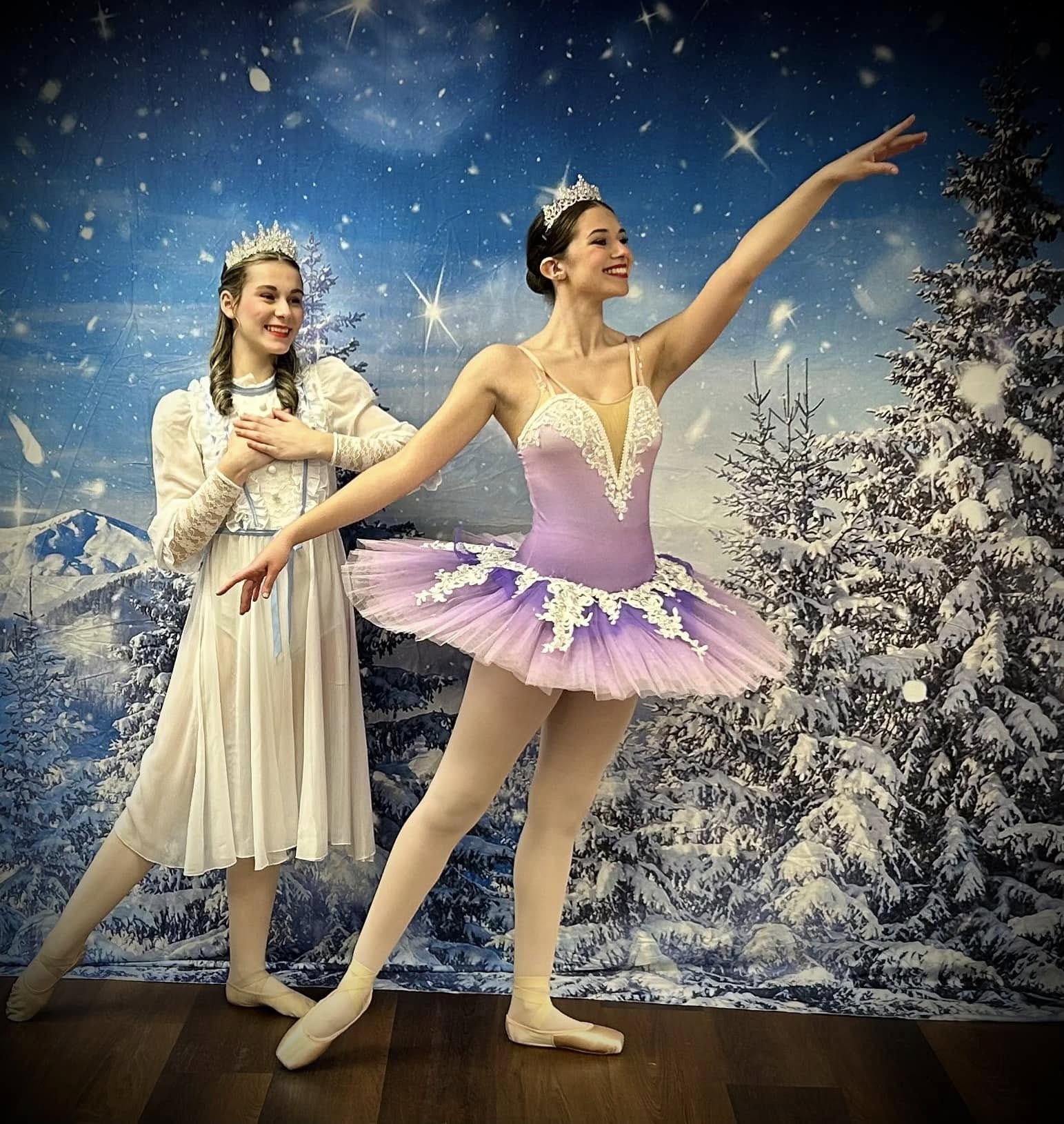 Toile de Fond Ciel Etoilé en hiver Nuit Enneigée M8-17