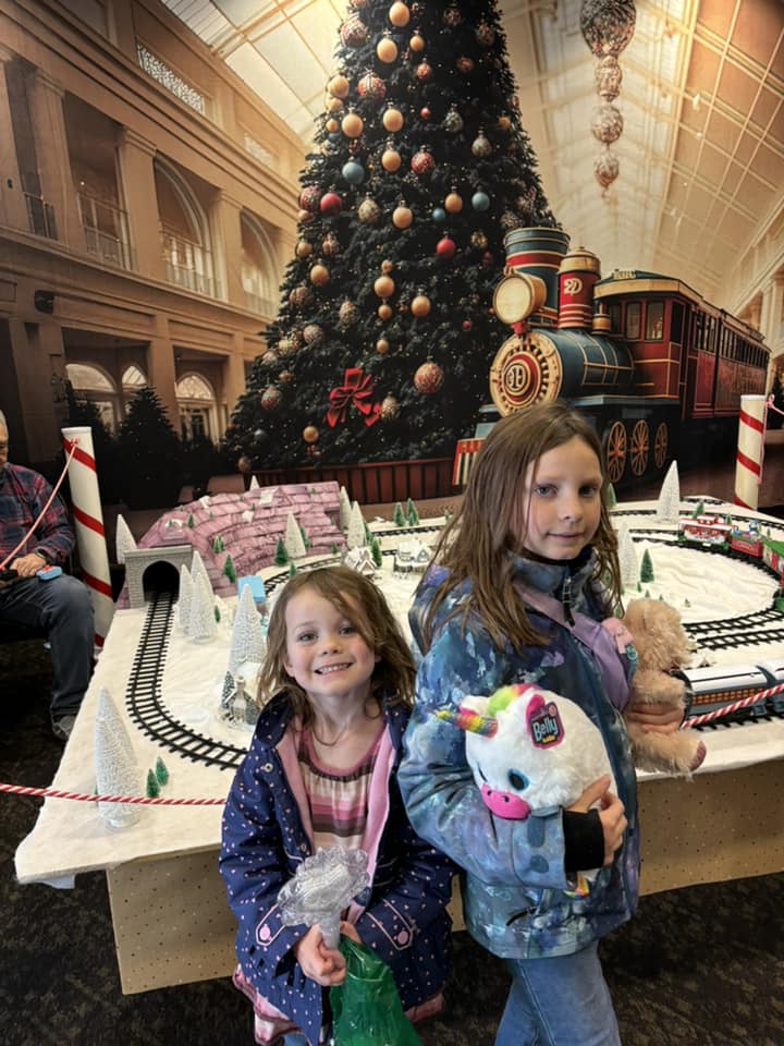 Toile de Fond Grand Sapin de Noël Petit Train M8-68