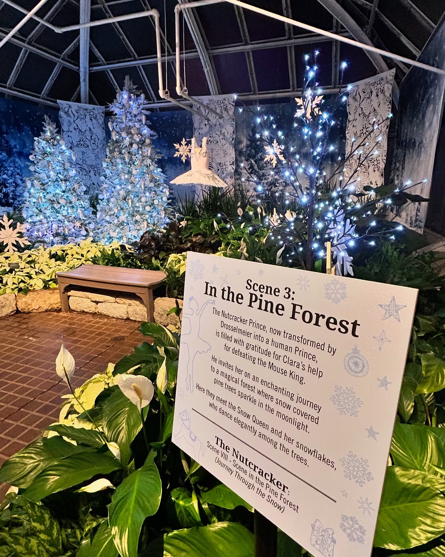 Toiles de Fond de Forêt de Sapin de Neige pour Noël Gx-1075