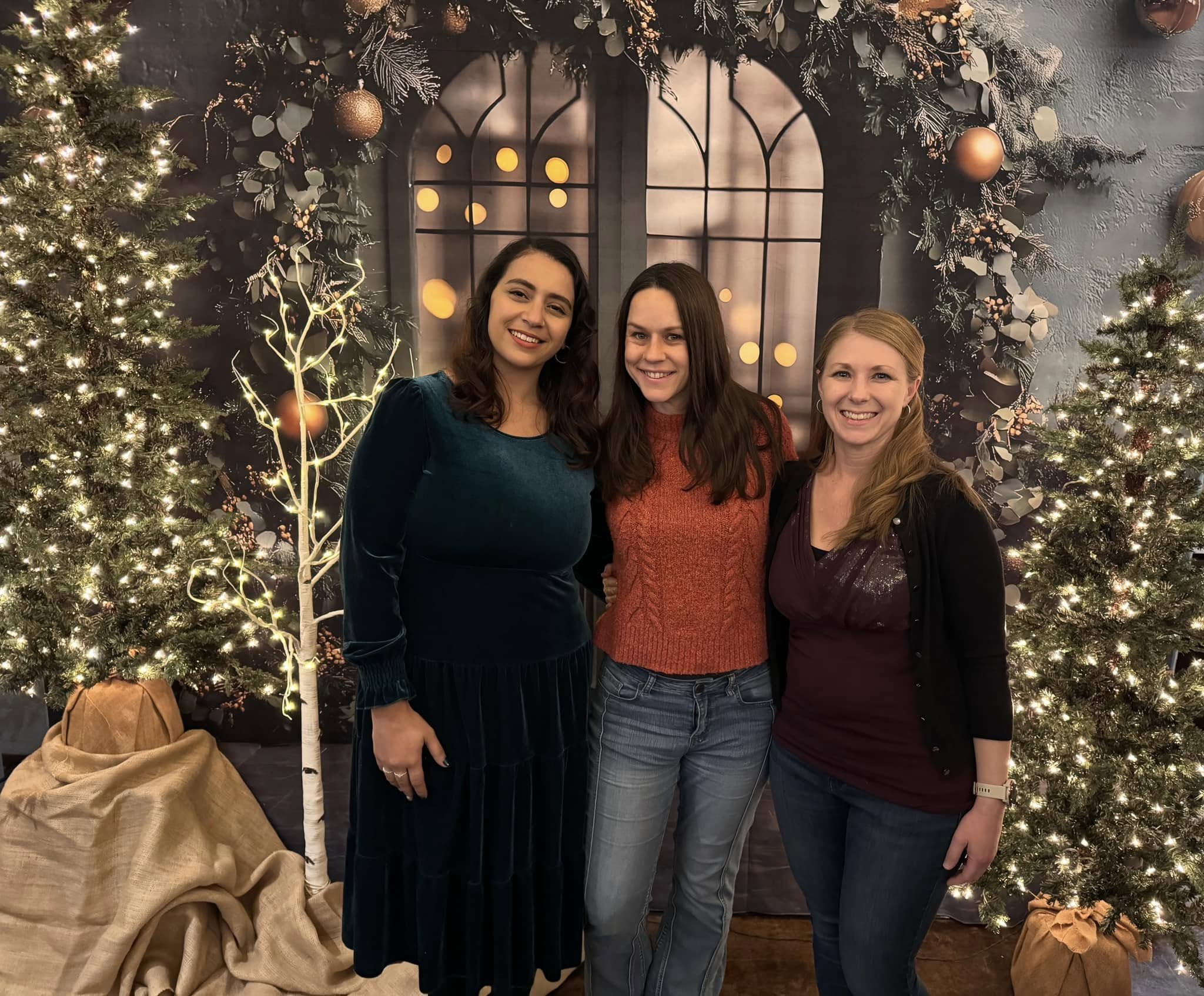 Toile de Fond Porte Décorée avec Boules de Noël et Guirlande RR8-346