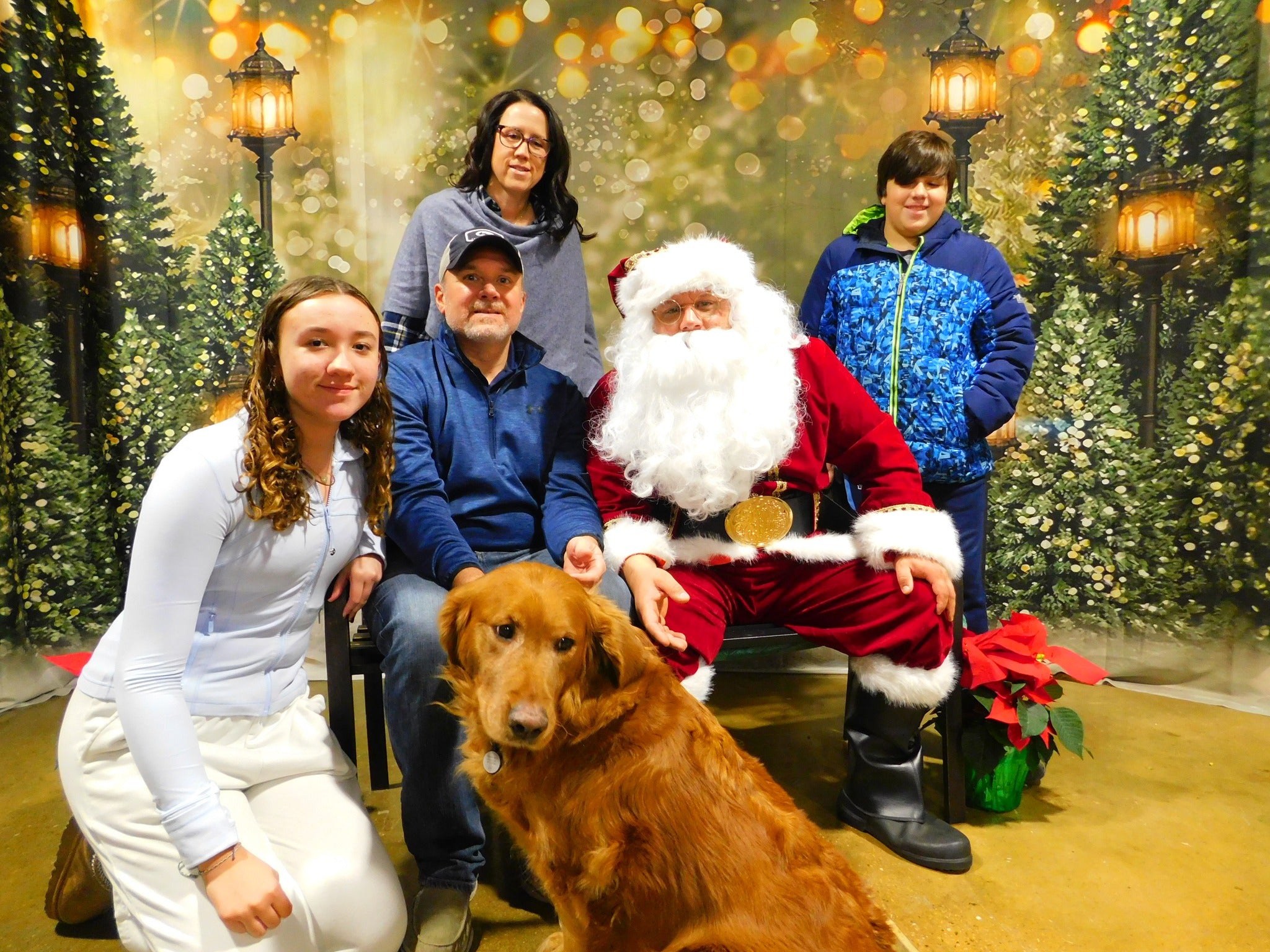 Toiles de Fond des Arbres de Noël Extérieurs Lumières Clignotant G-1440