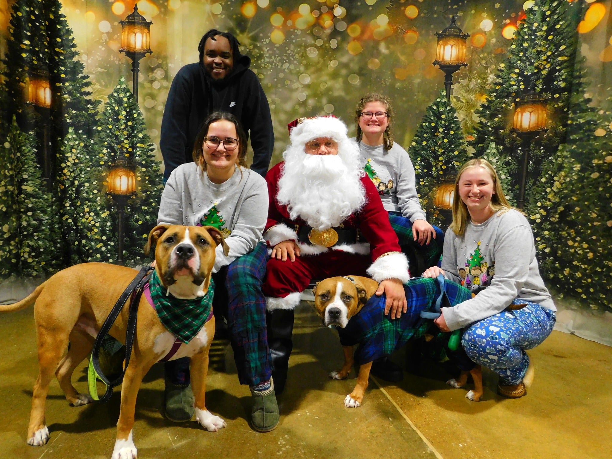 Toiles de Fond des Arbres de Noël Extérieurs Lumières Clignotant G-1440