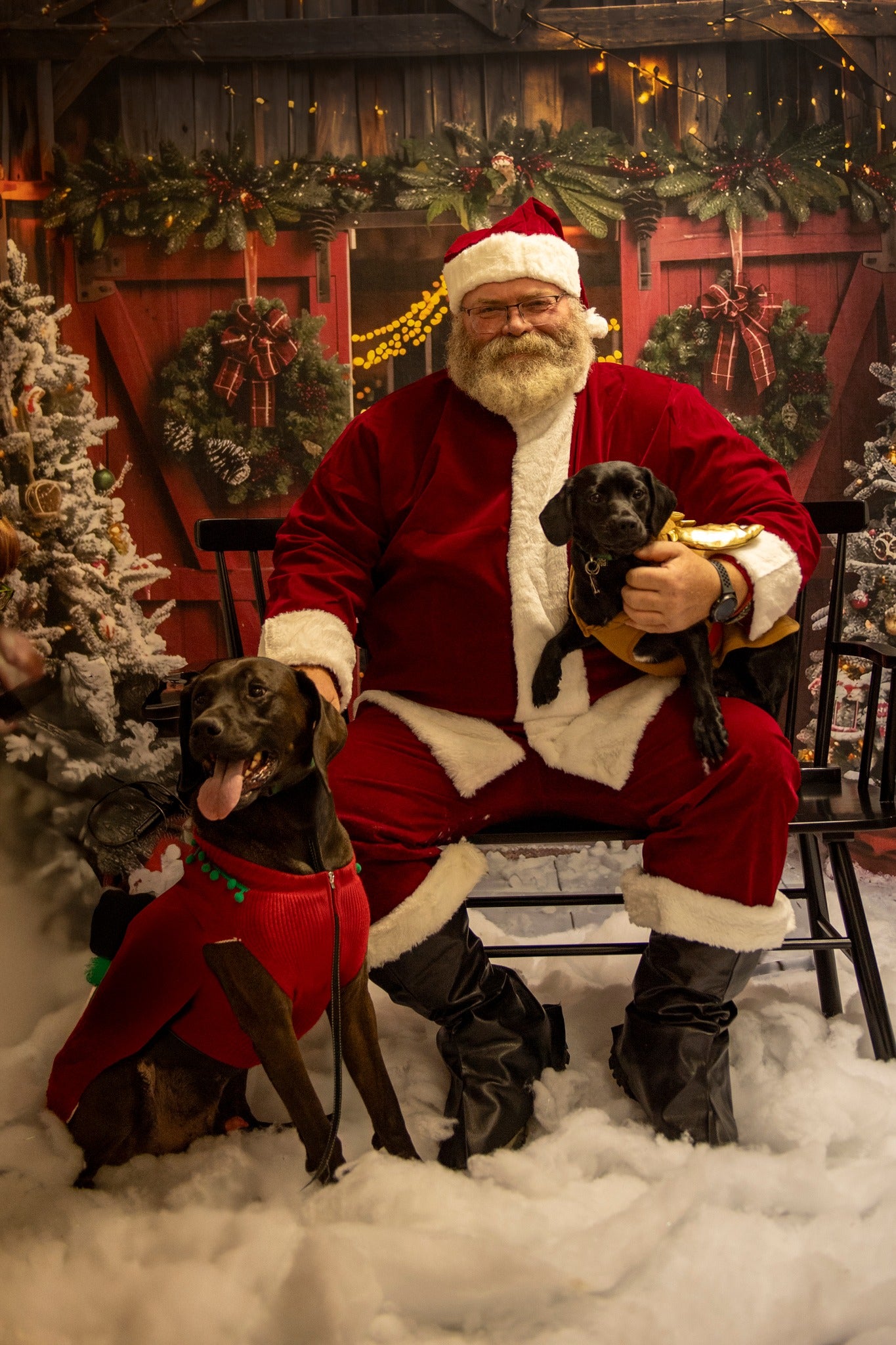 Toile de fond d'Entrée de Grange Rouge de Noël BRP7-224