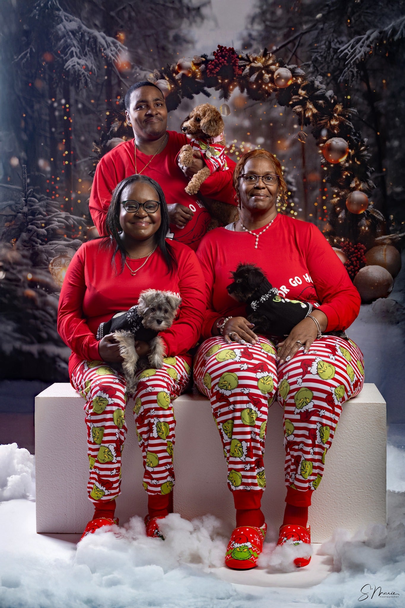 Toile de fond de Noël Arche Scintillante en Forêt RR7-710