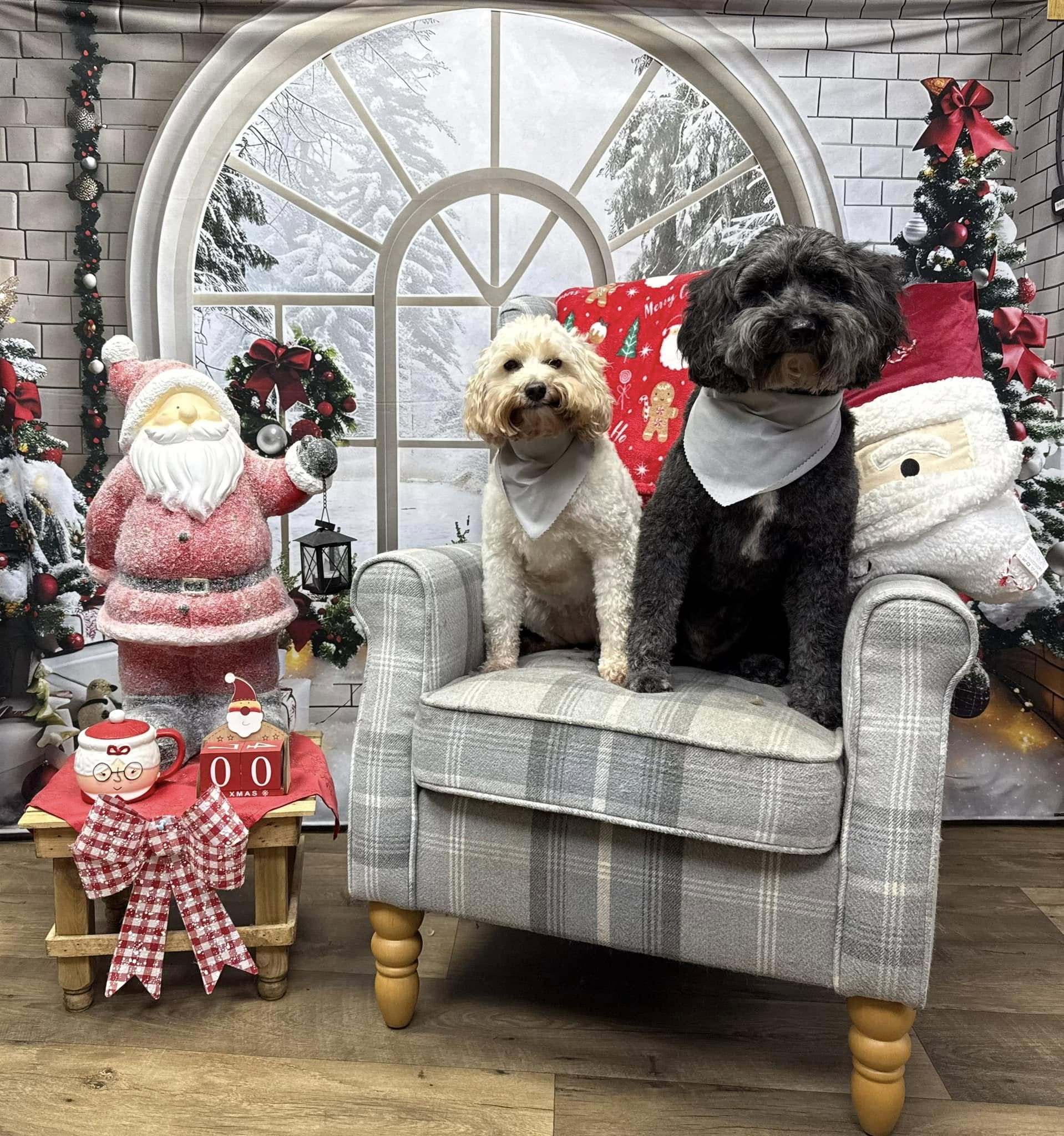 Toile de fond de Noël Fenêtre en Arche avec Décorations Festives RR7-690