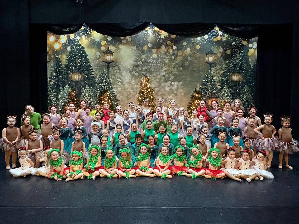 Toiles de Fond des Arbres de Noël Extérieurs Lumières Clignotant G-1440