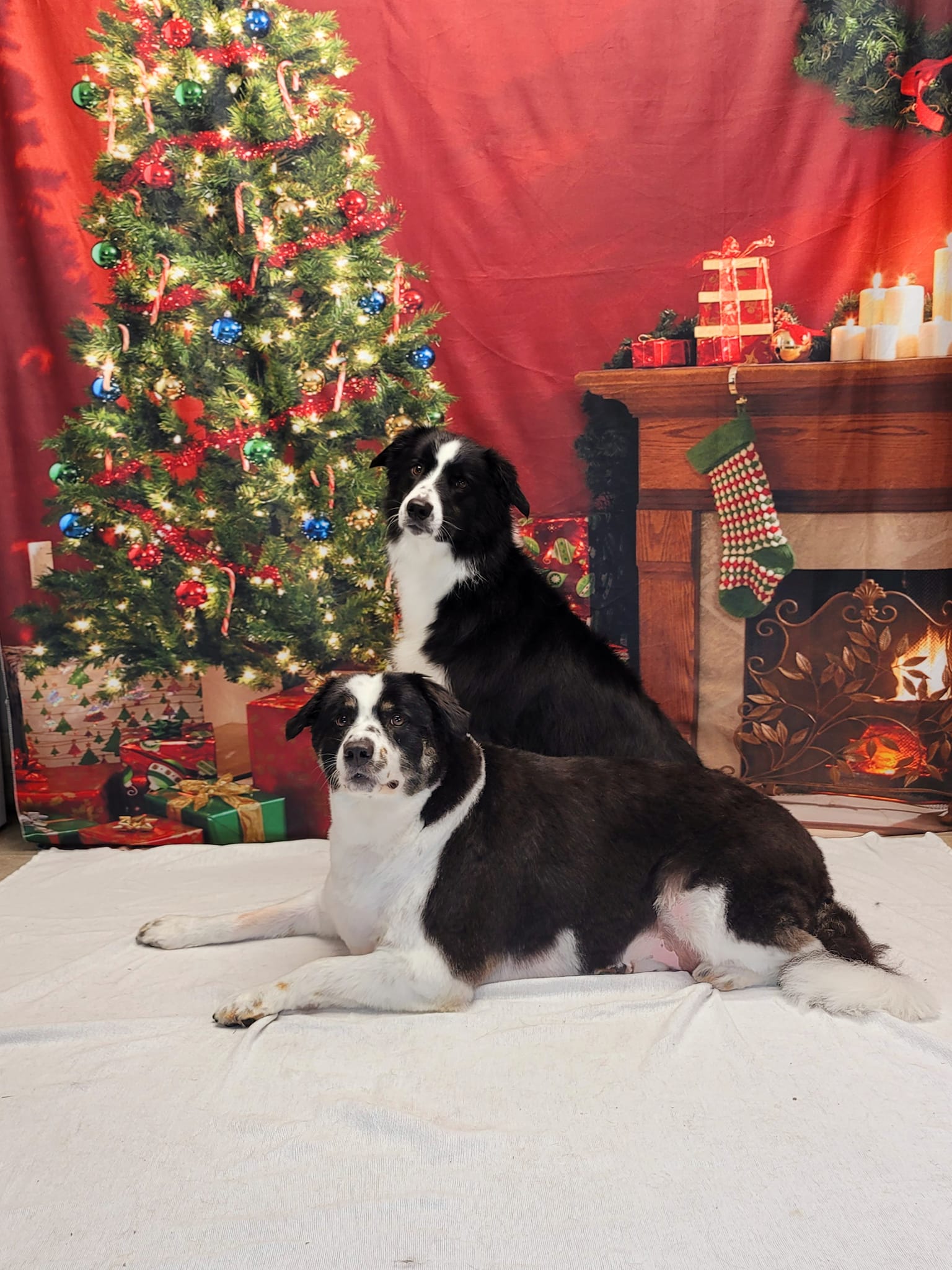 Toile de Fond Guirlande Sapin de Noël Mur Rouge Décoration Cheminée pour Photo KAT-106