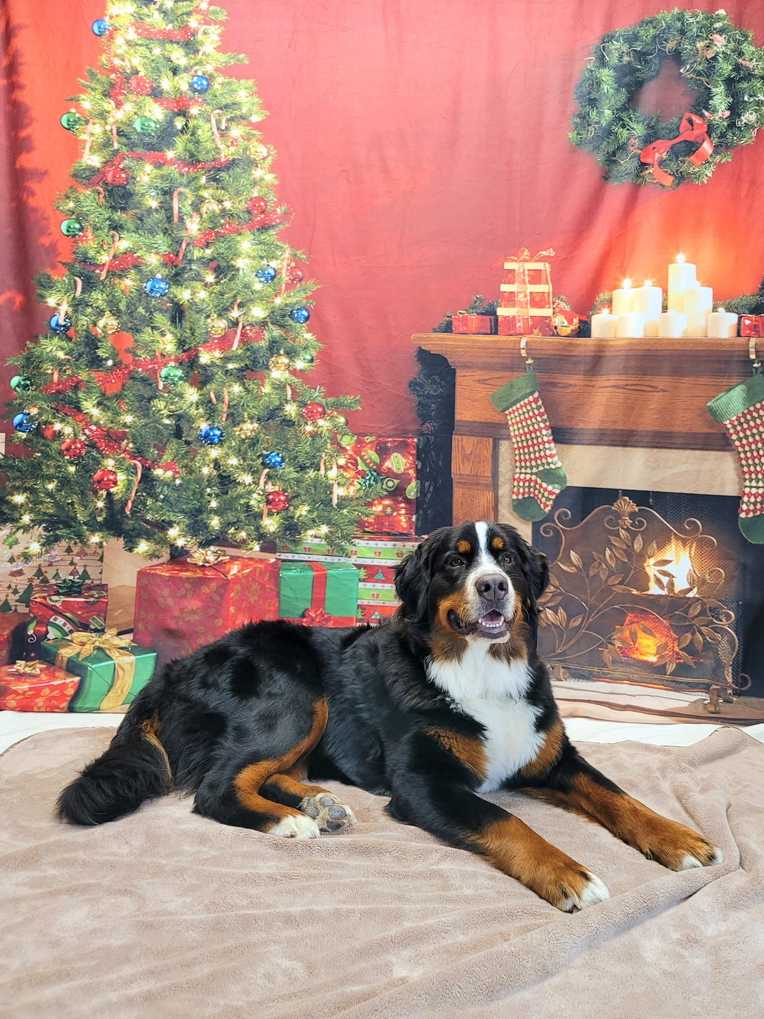 Toile de Fond Guirlande Sapin de Noël Mur Rouge Décoration Cheminée pour Photo KAT-106