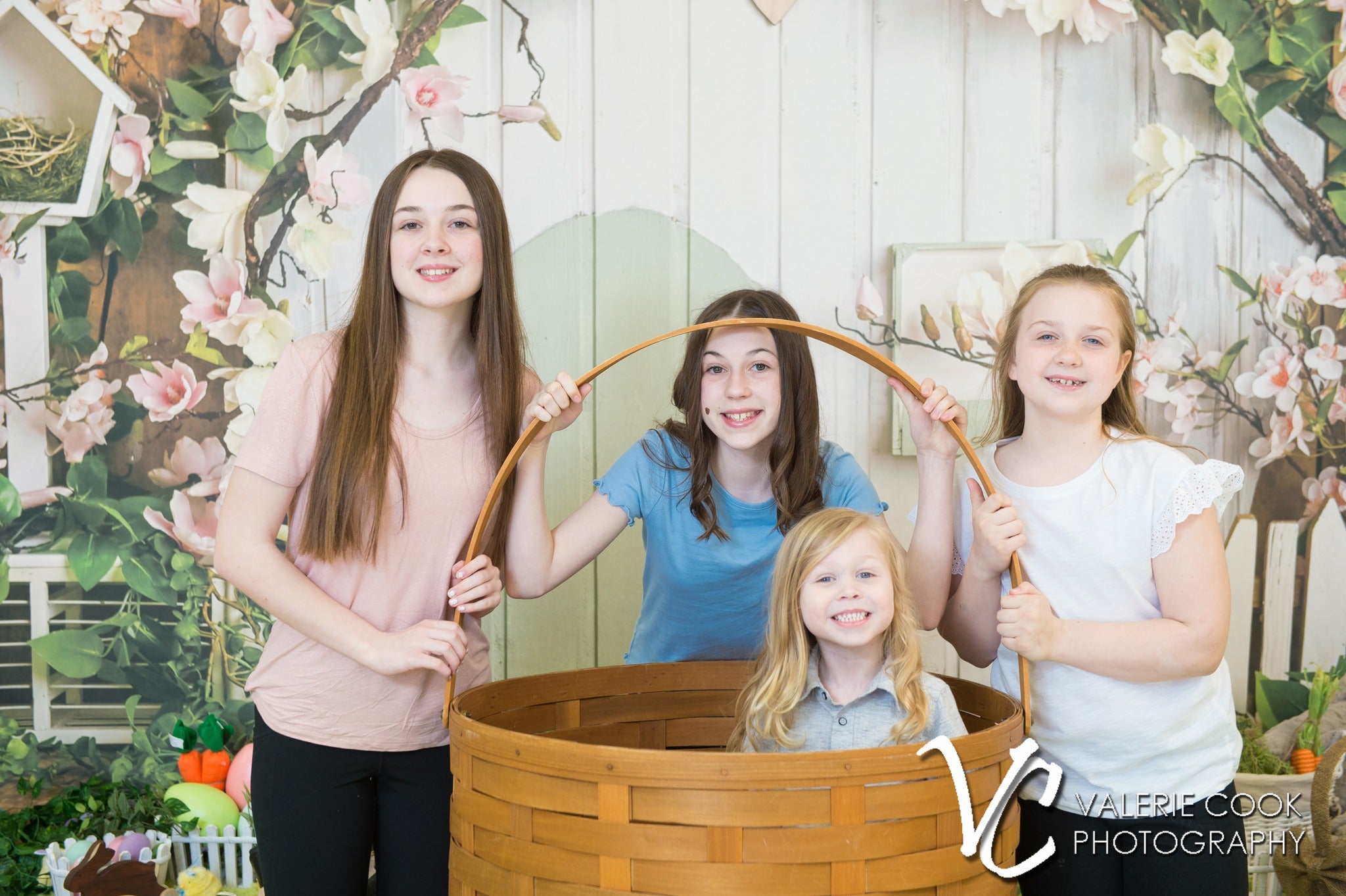 Toile de fond de Printemps Maison Rustique Fleurs Roses D1055