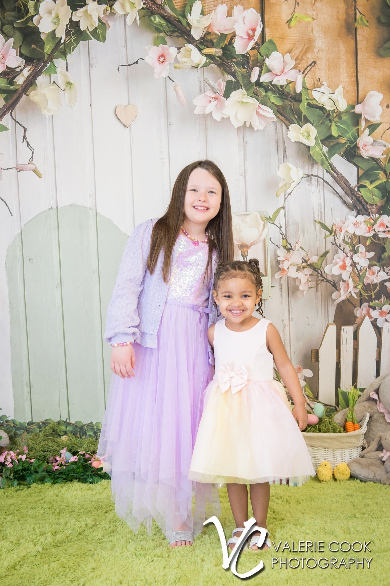 Toile de fond de Printemps Maison Rustique Fleurs Roses D1055