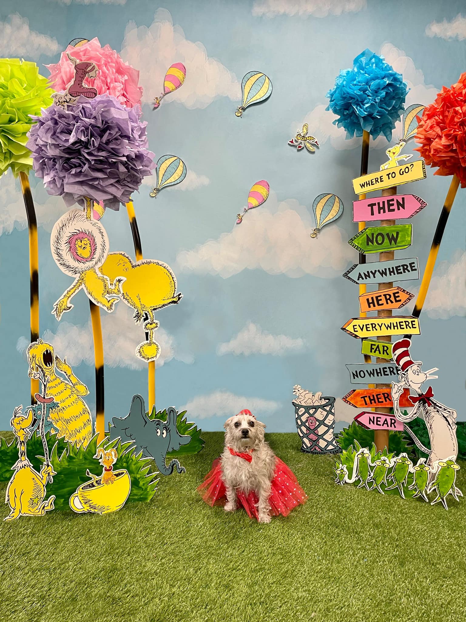 Toule de Fond Beau Ciel Nuages Blancs pour la Photographie Nouveau-Né Nb-367